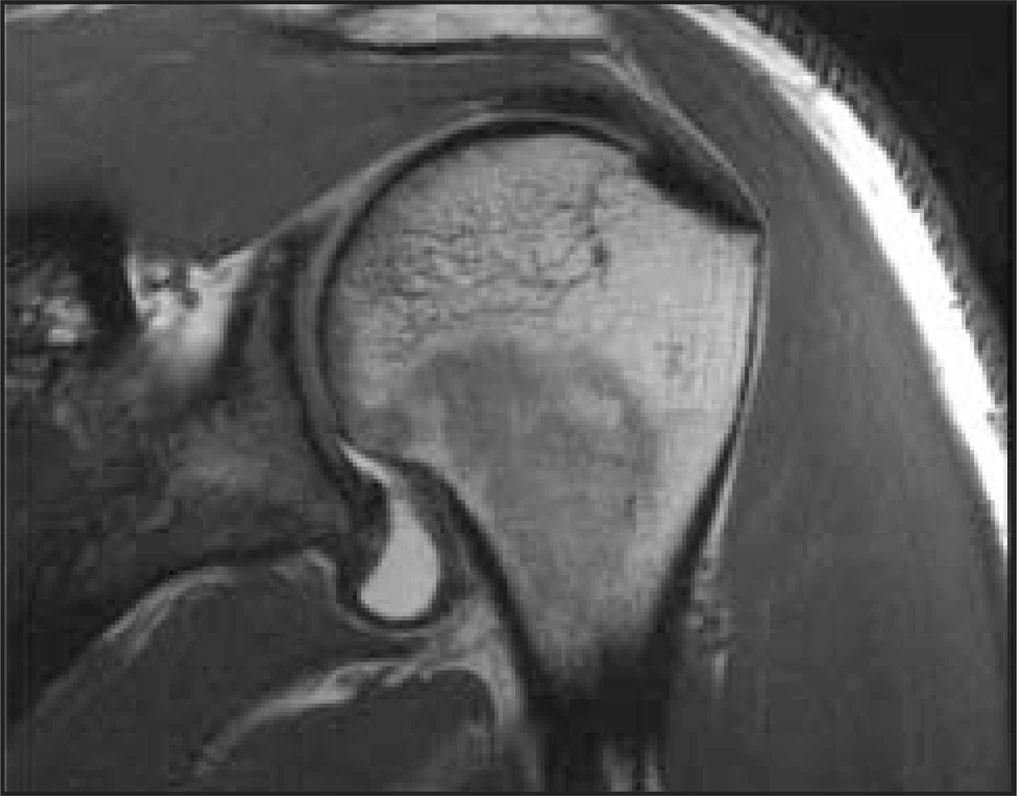 FIGURE 25.