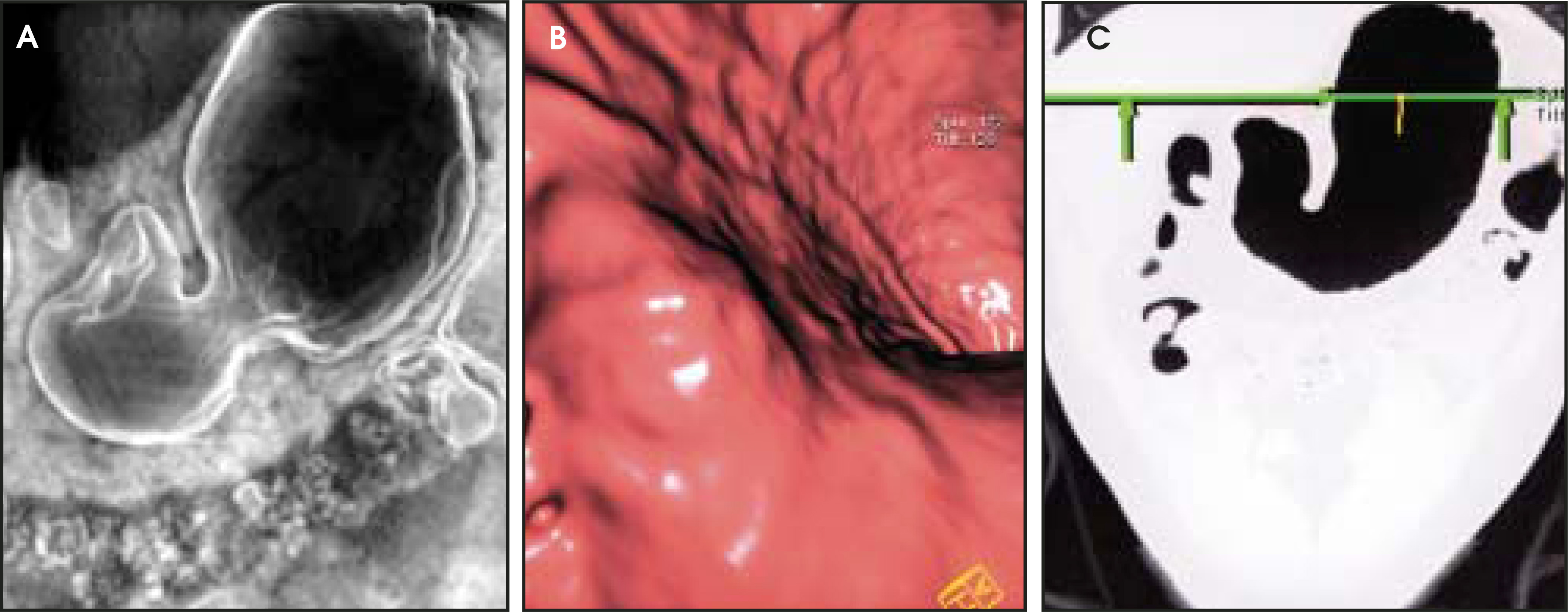 FIGURE 2.