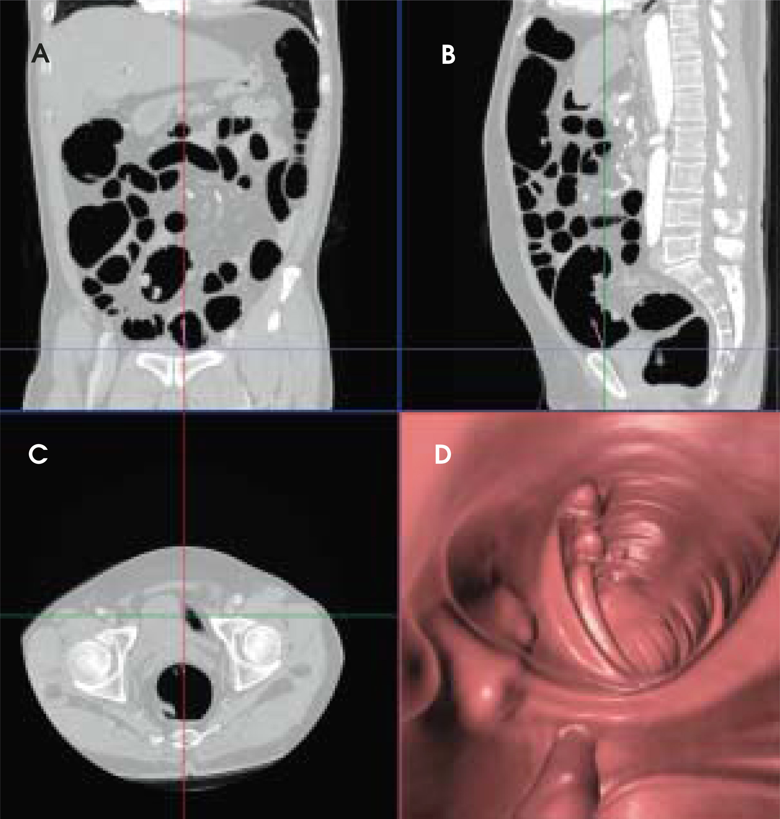 FIGURE 2.