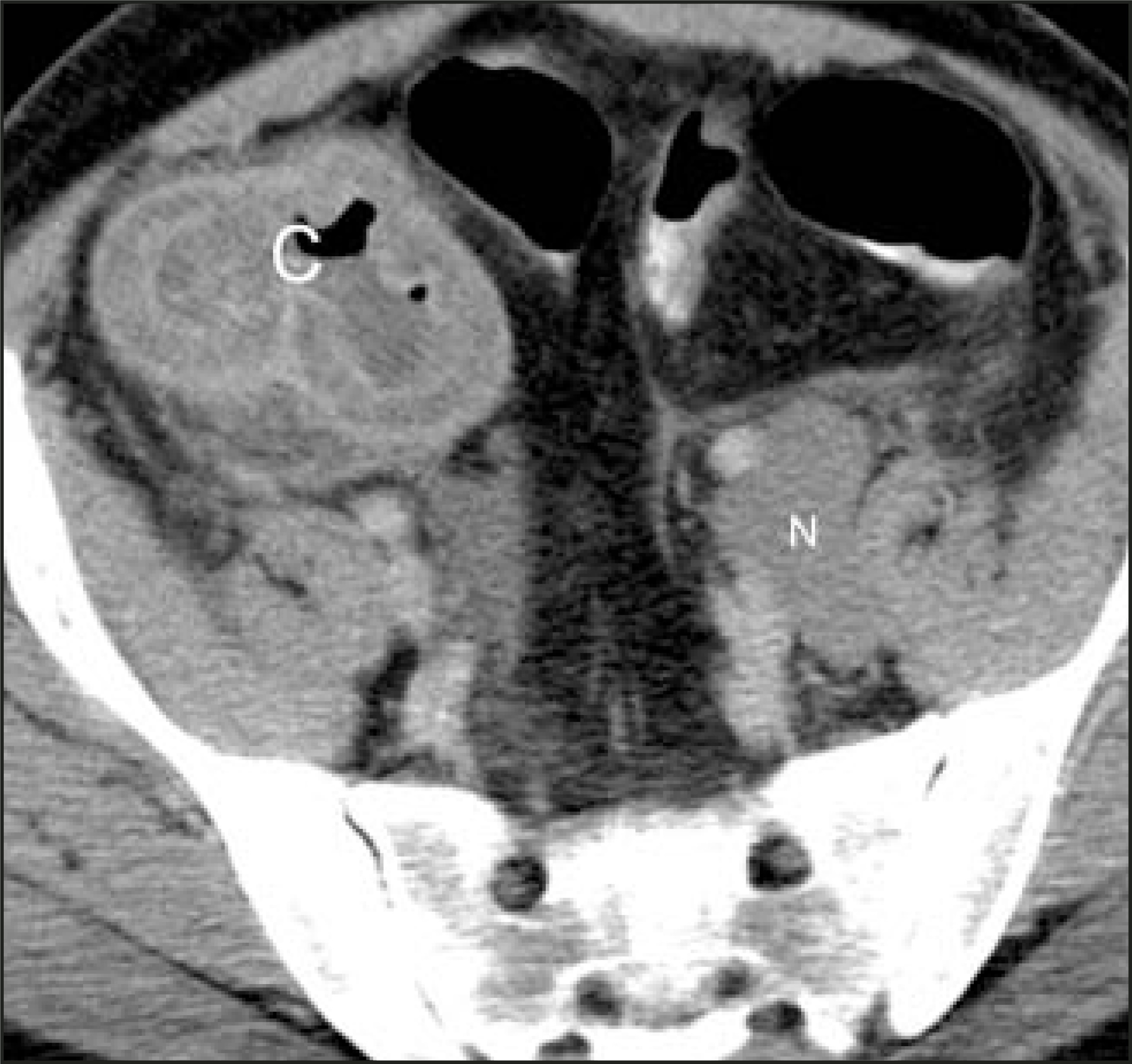 FIGURE 19.
