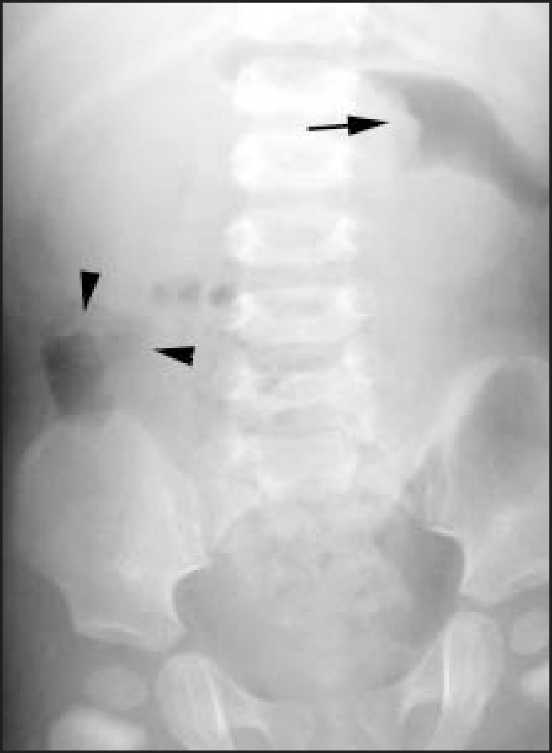 FIGURE 7.