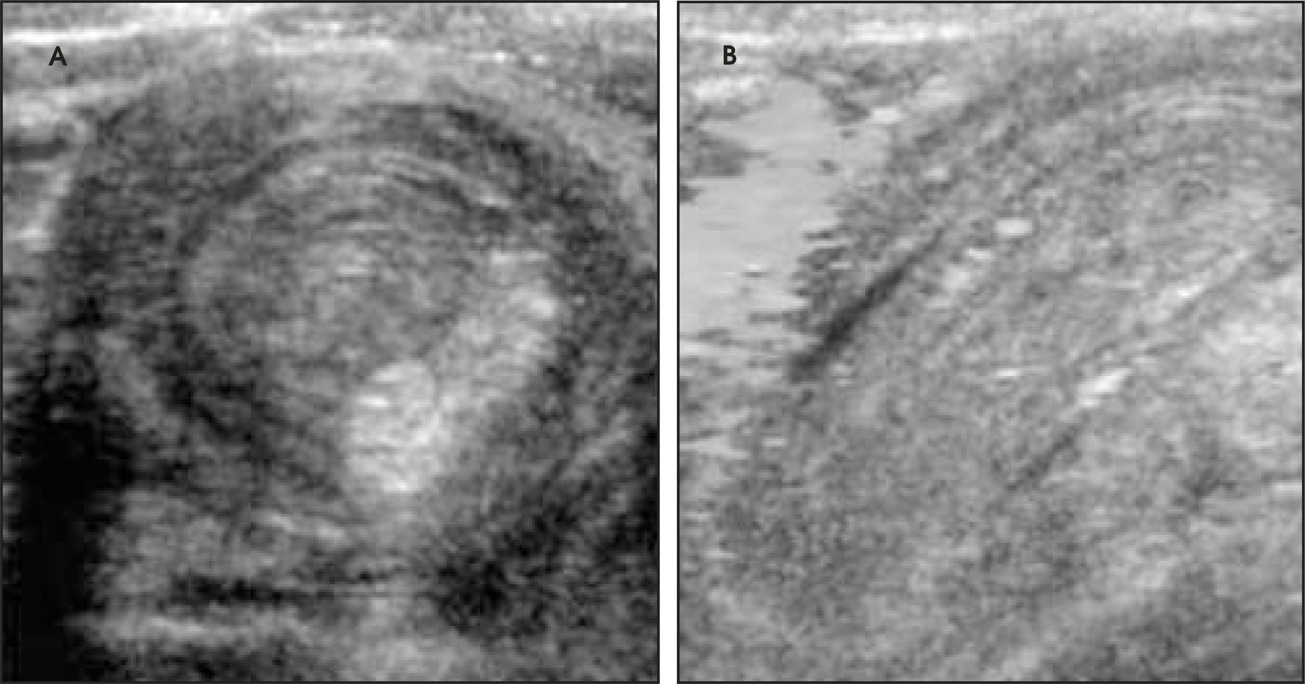FIGURE 8.