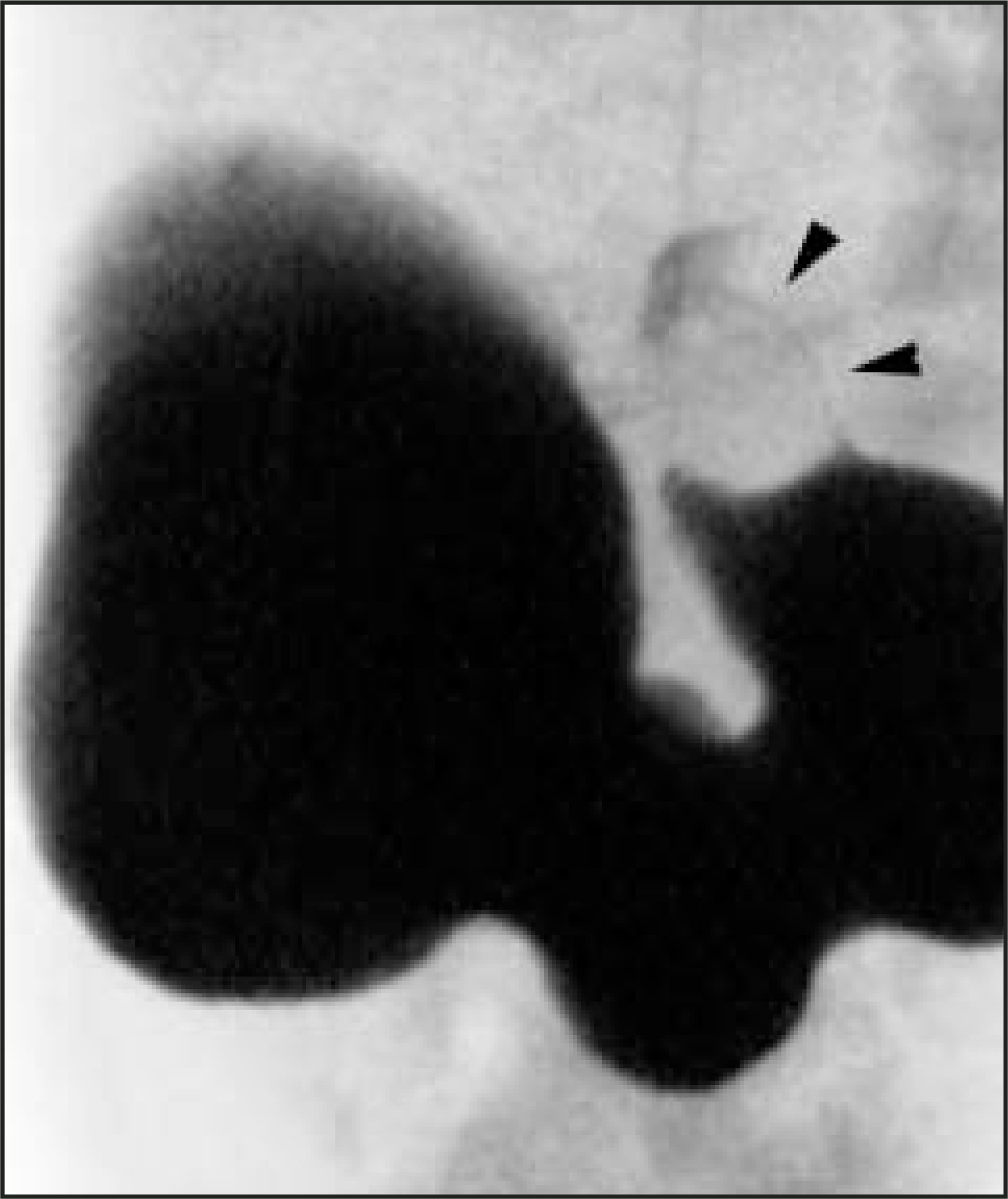FIGURE 12.