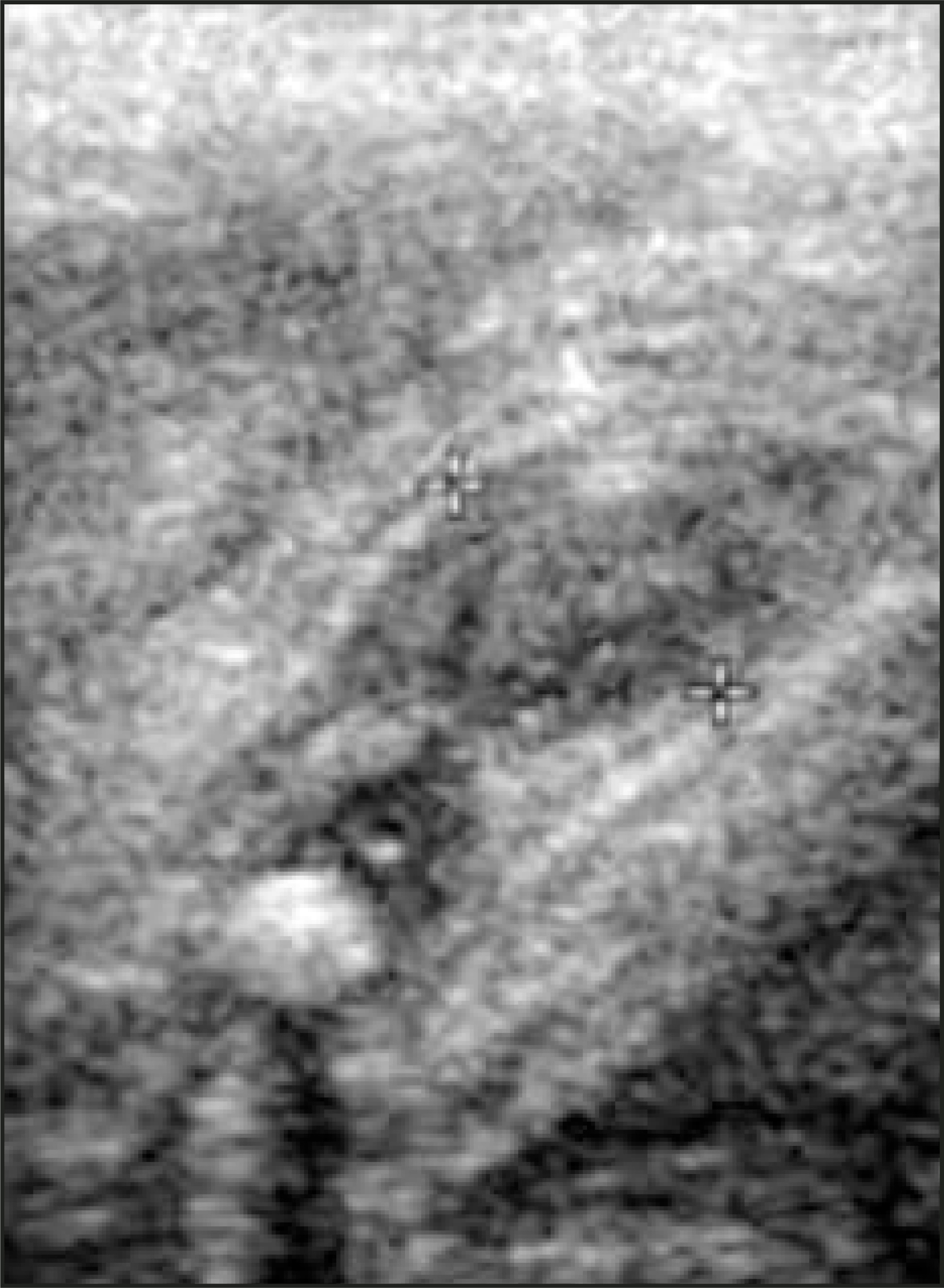 FIGURE 14.
