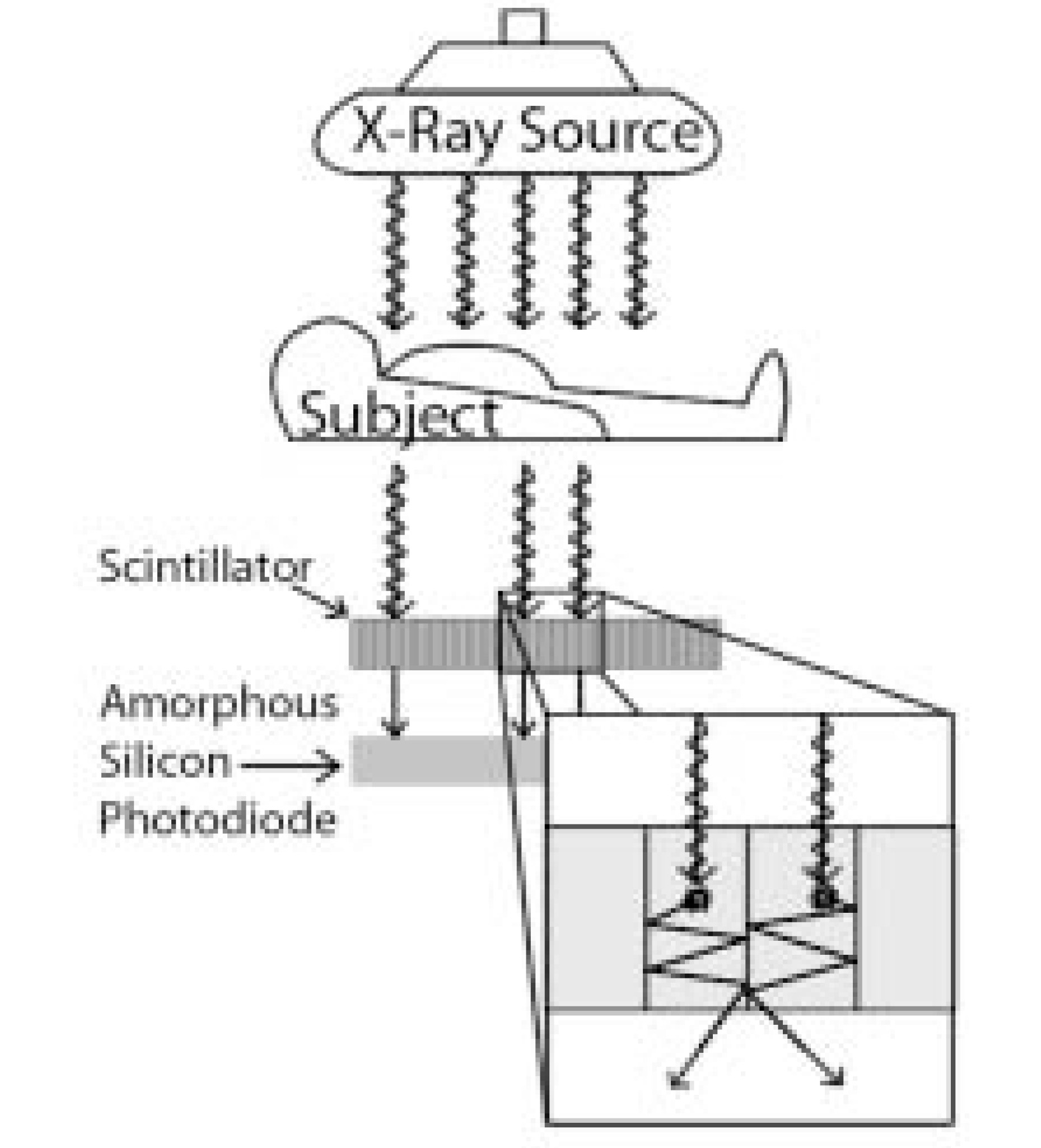 FIGURE 2.