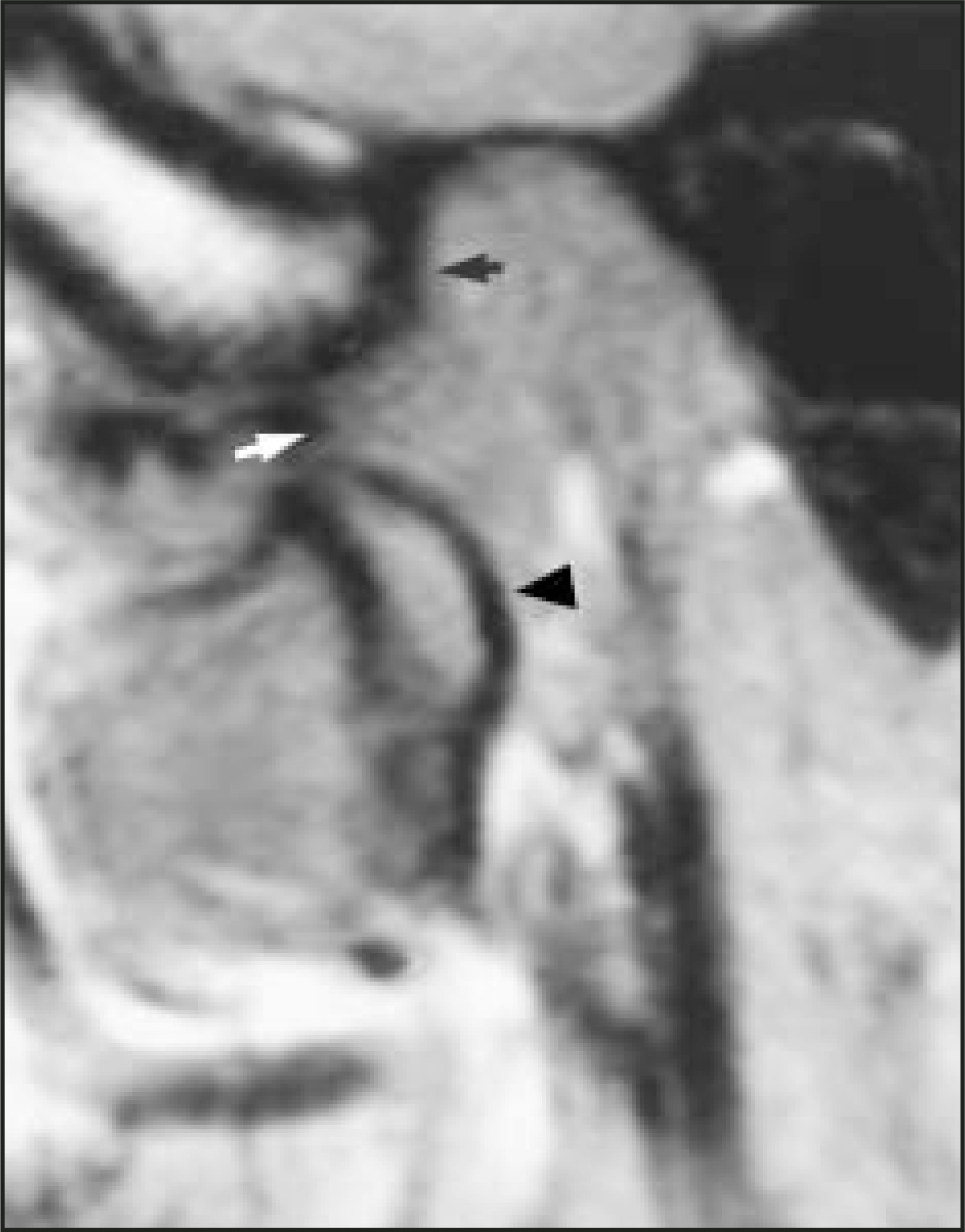 FIGURE 9.