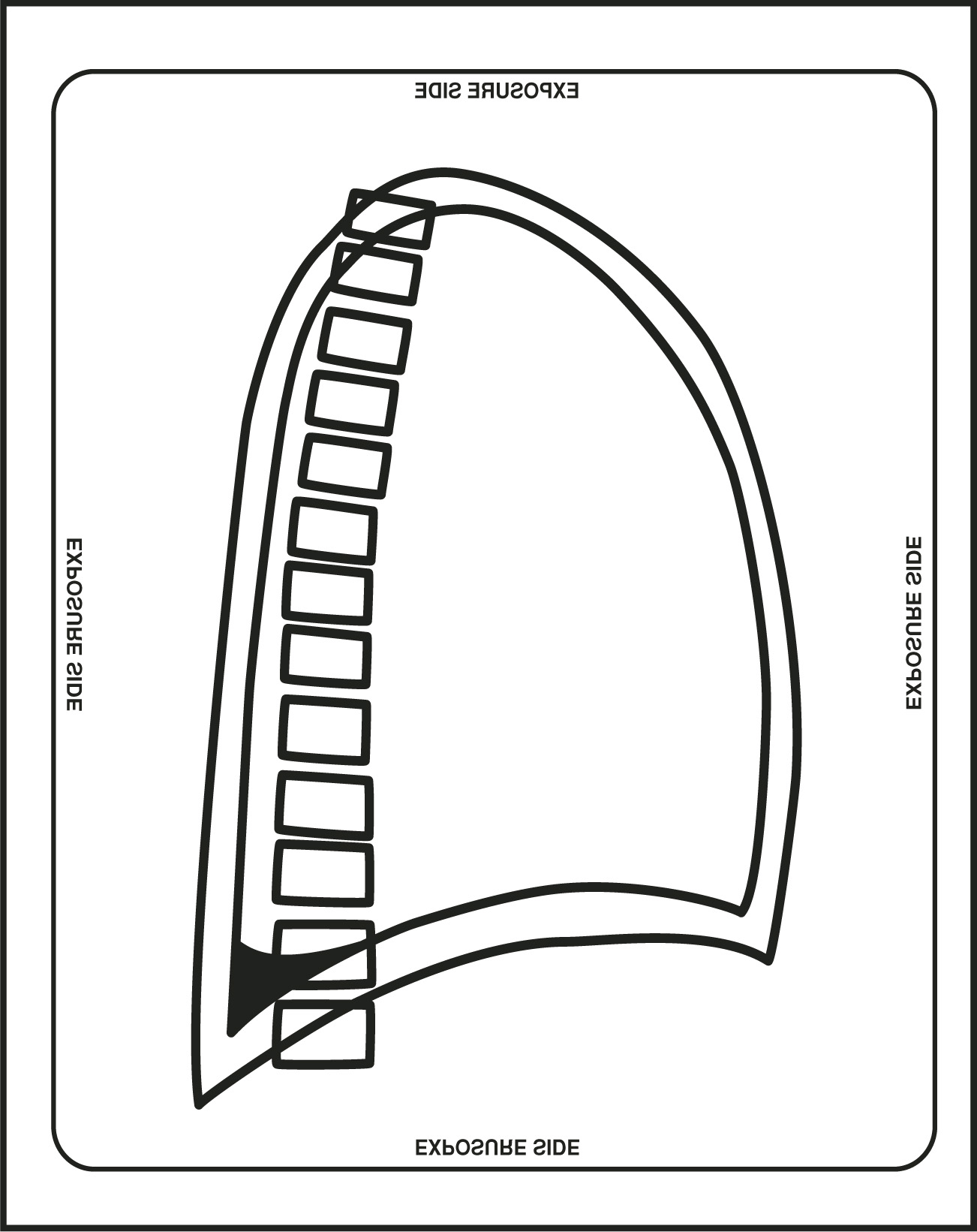 FIGURE 10.