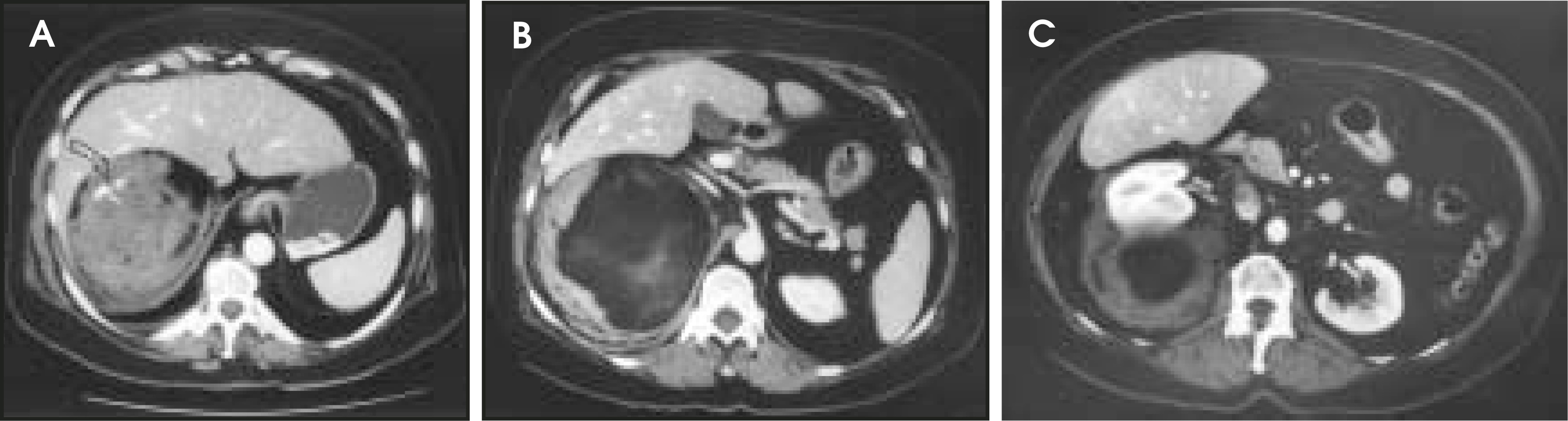 FIGURE 1.