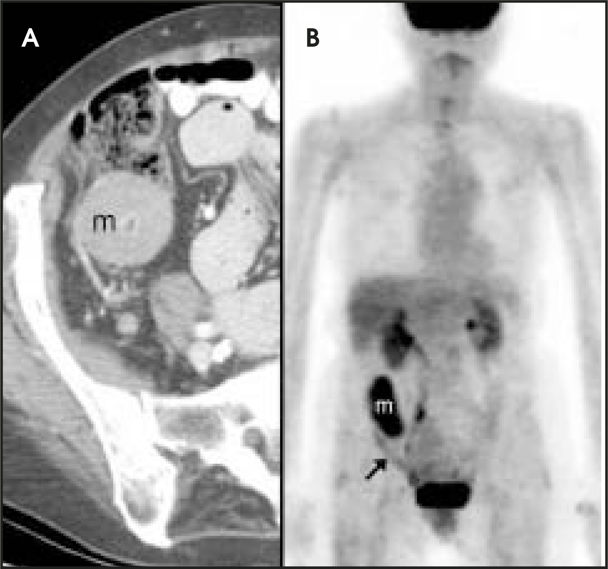 FIGURE 12.