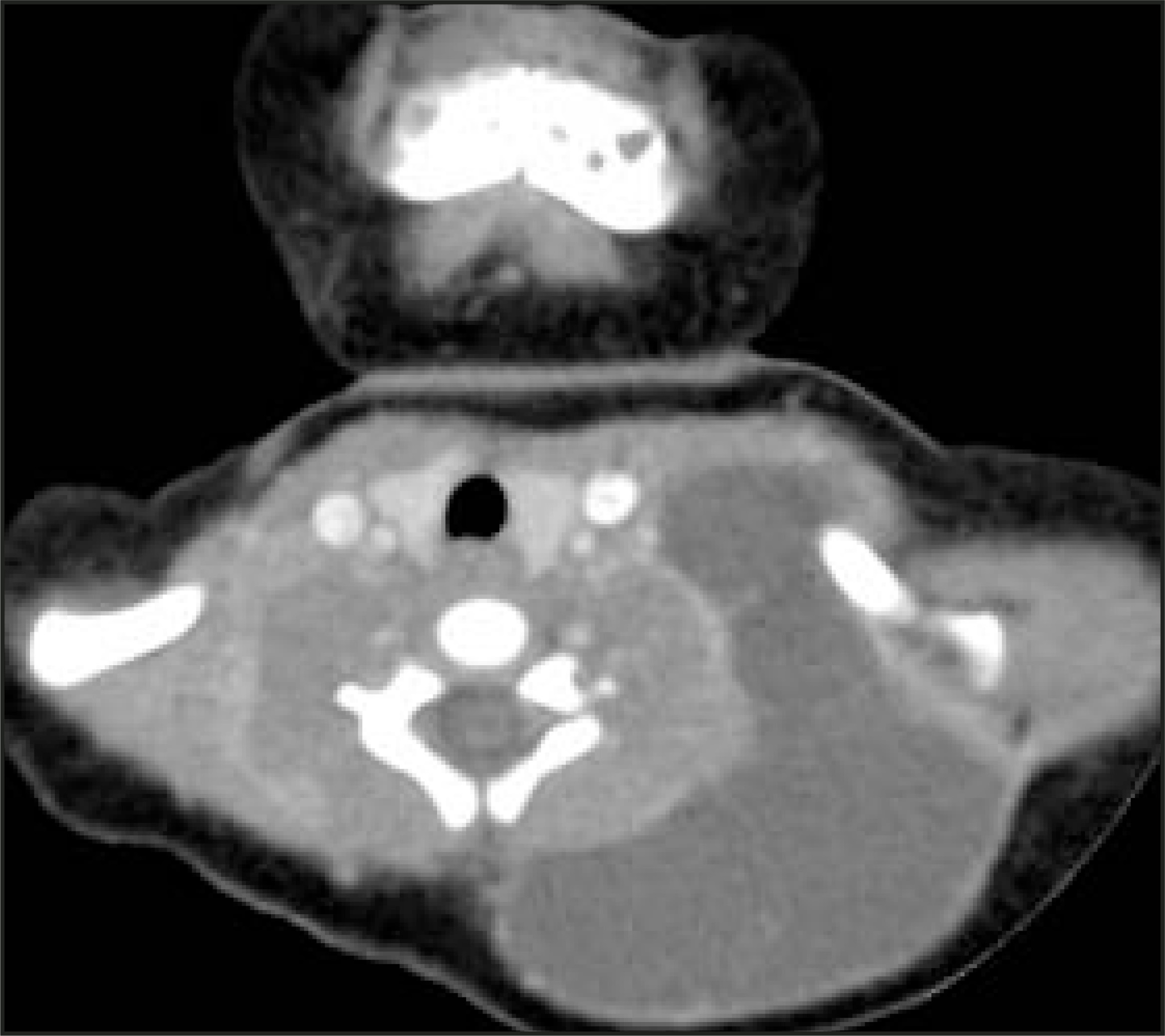 FIGURE 10.