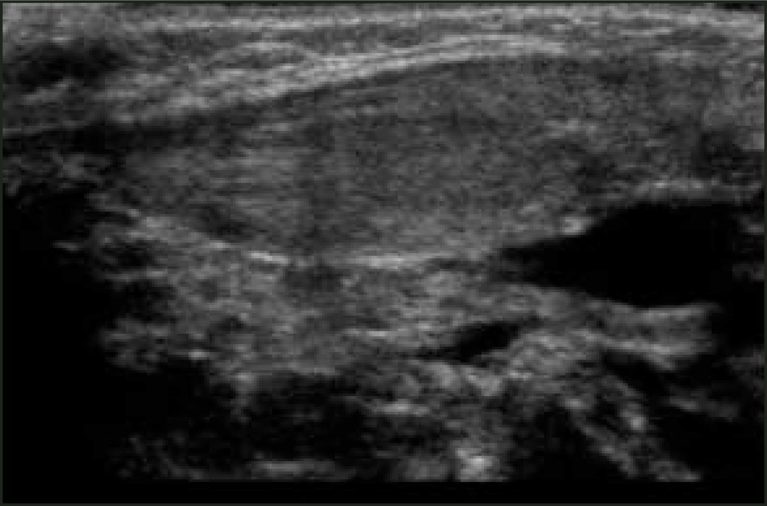 FIGURE 13.