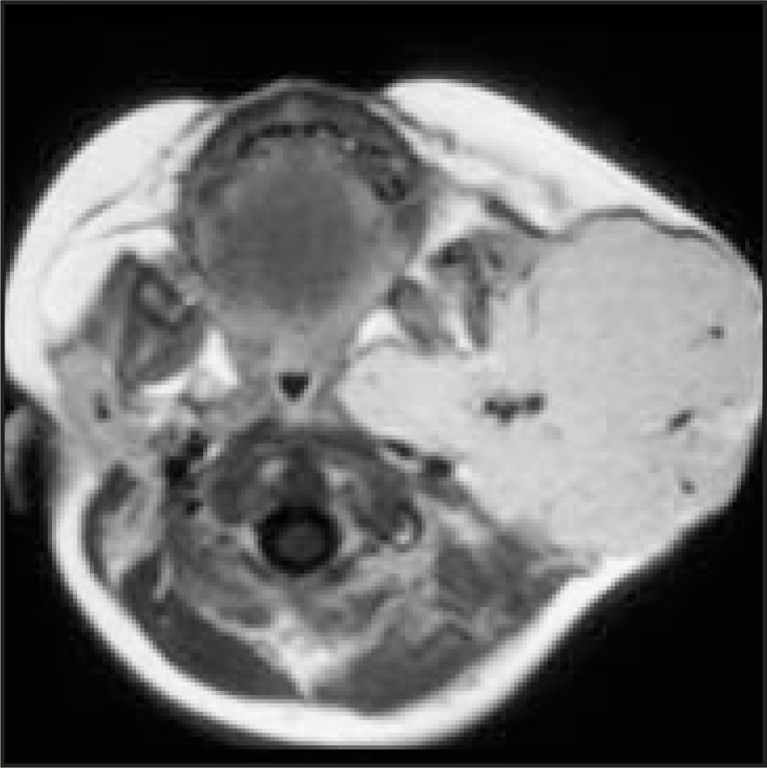 FIGURE 19.