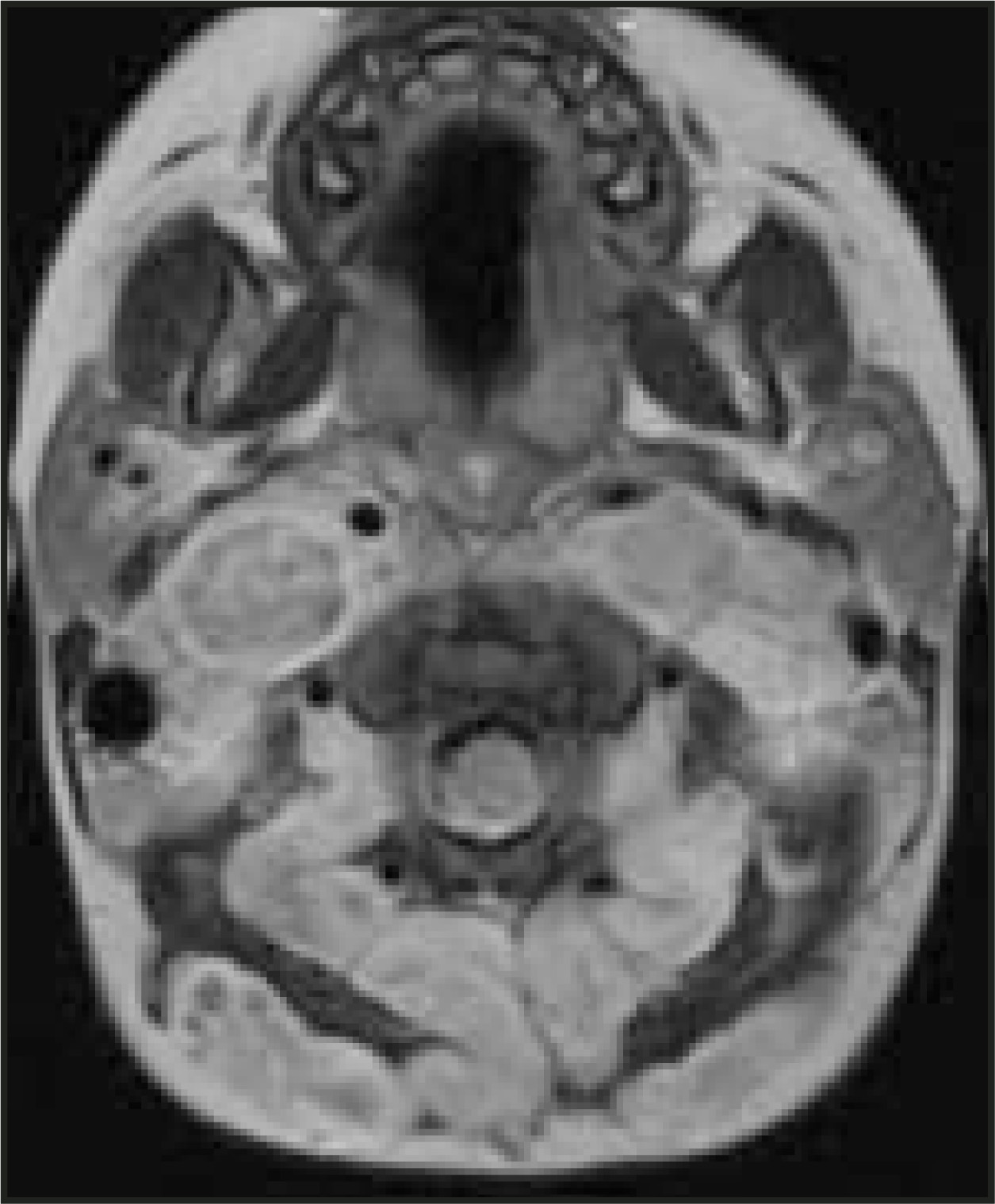 FIGURE 20.
