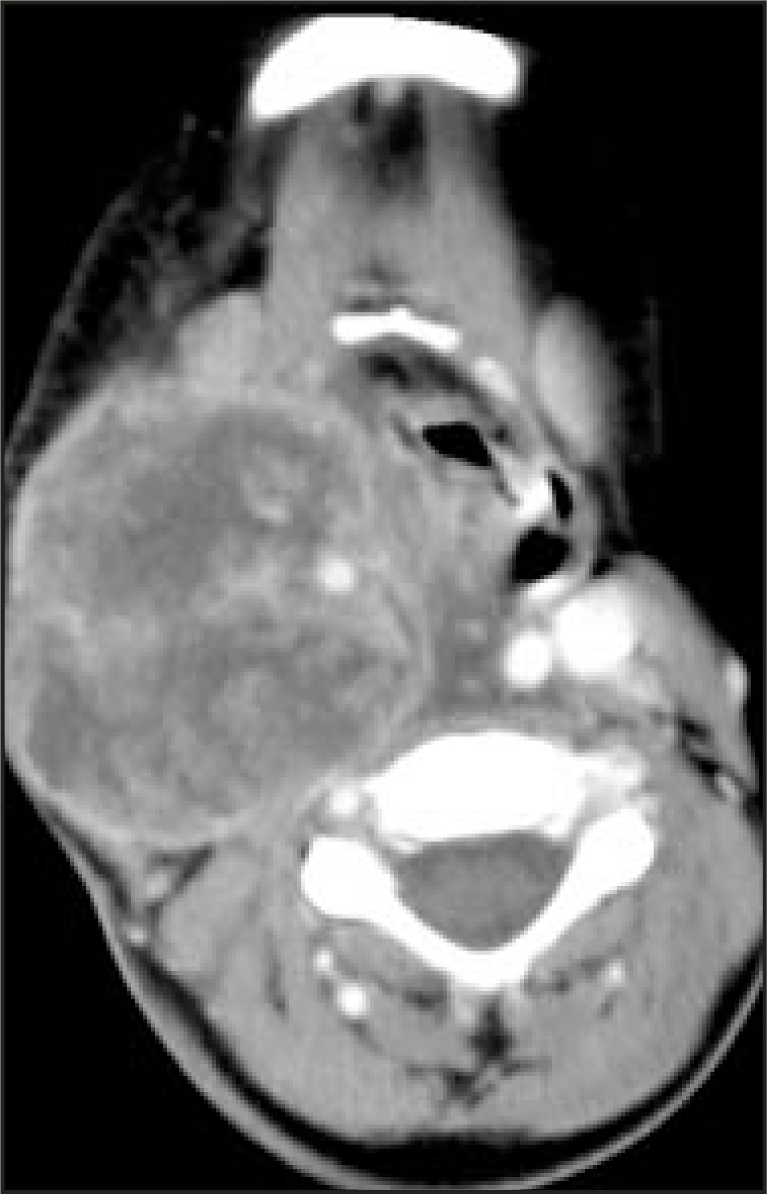 FIGURE 24.