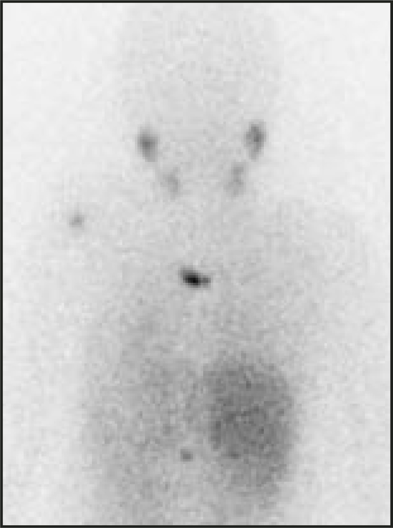FIGURE 26.