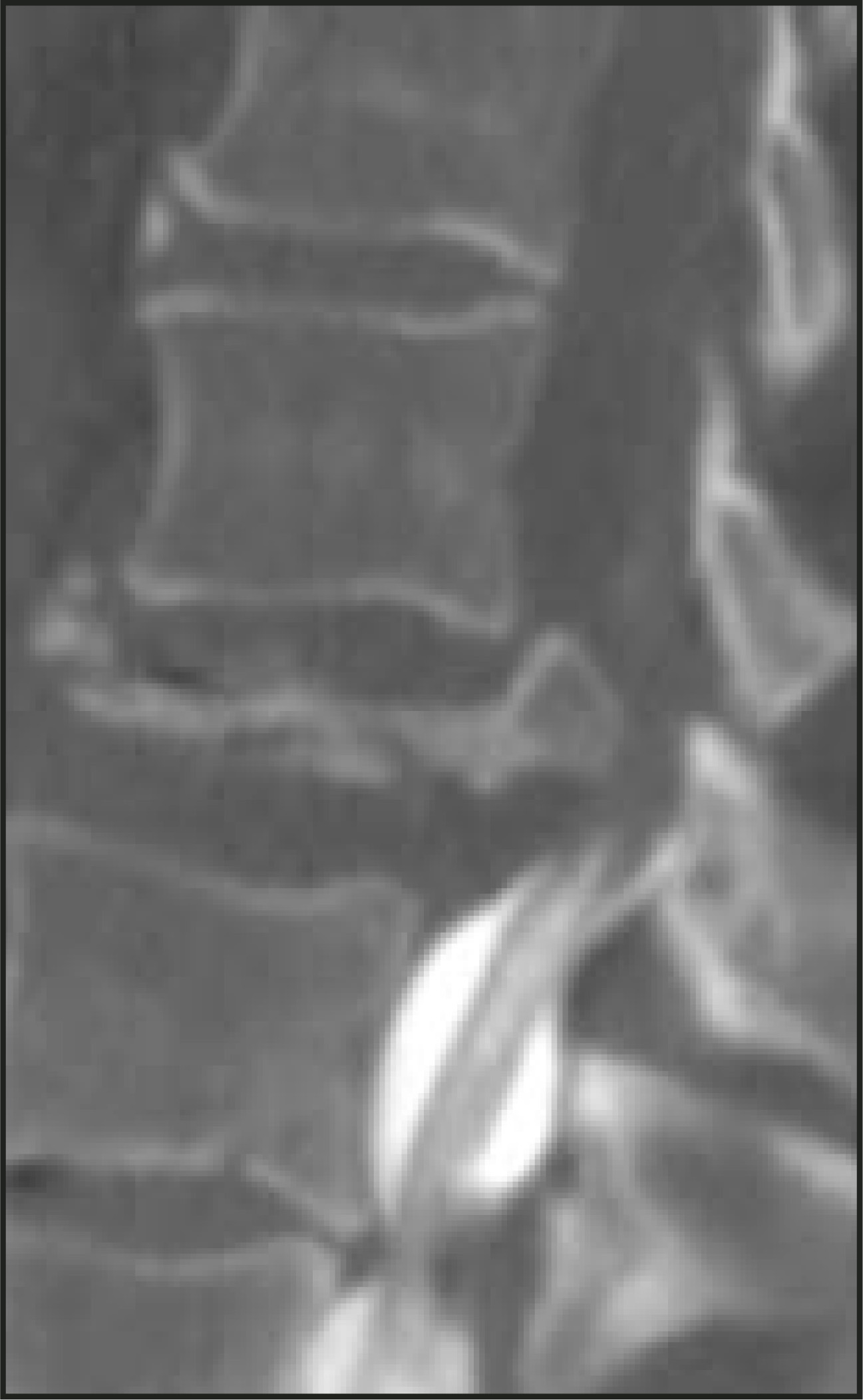 FIGURE 1.