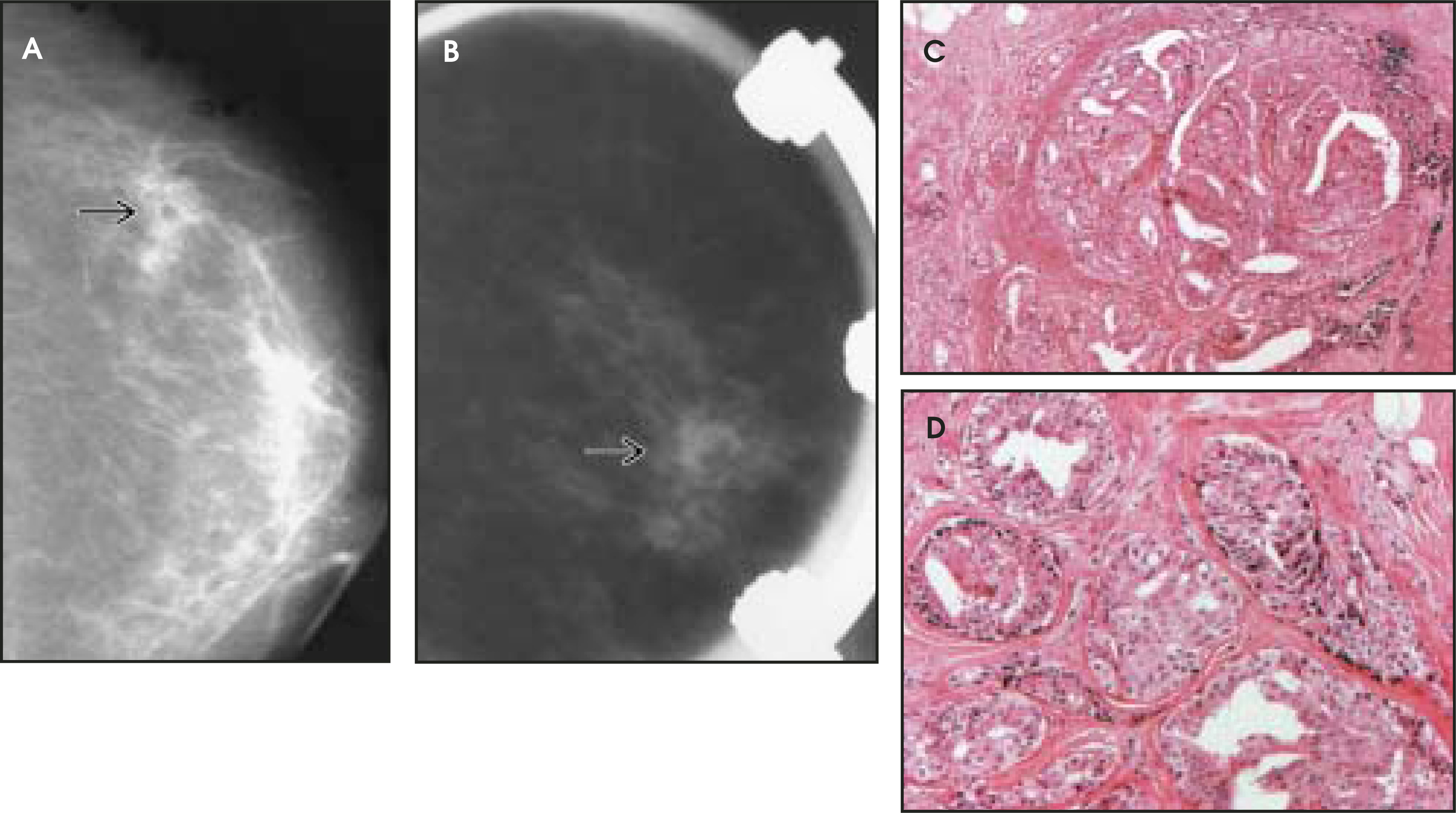 FIGURE 12.