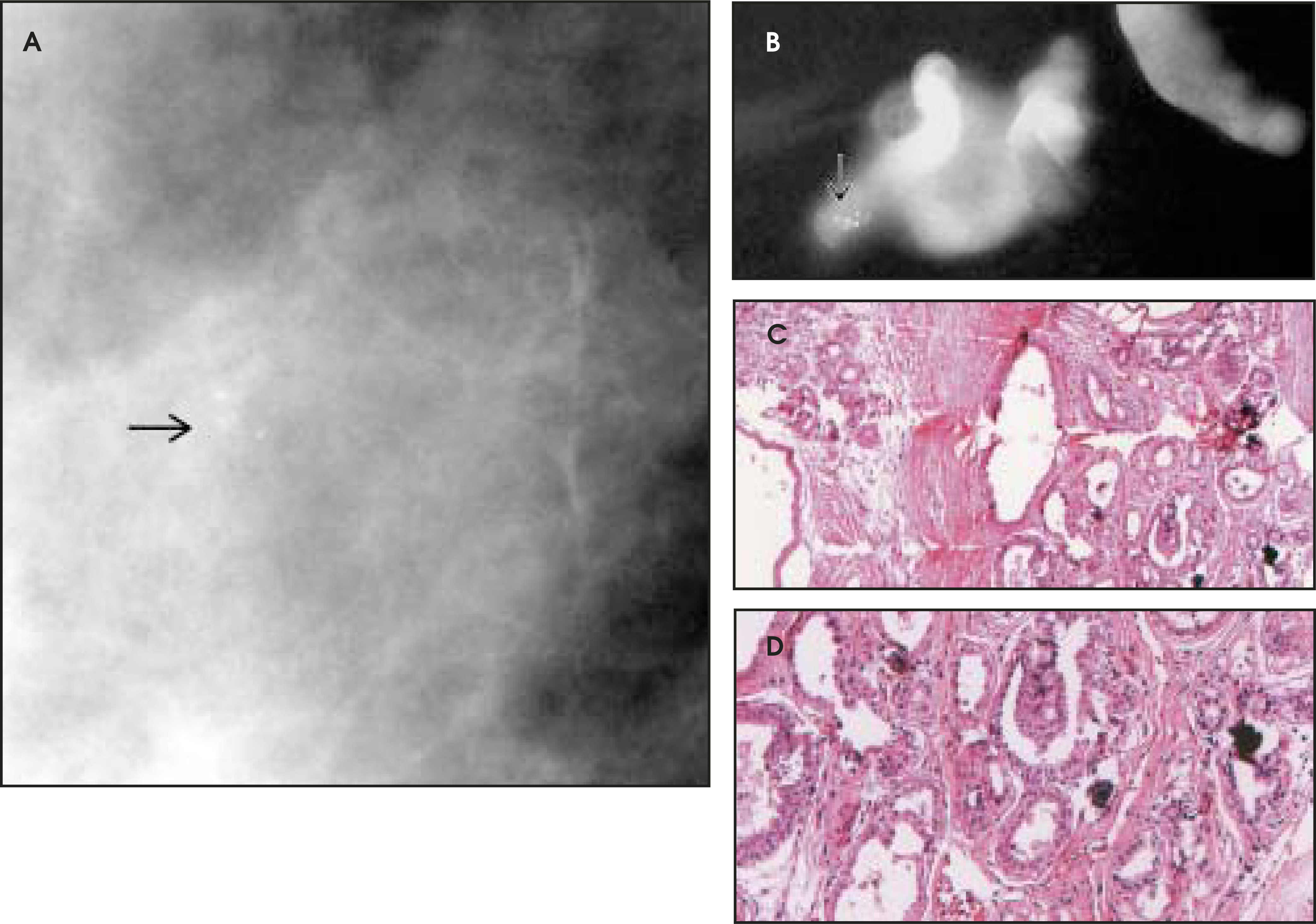 FIGURE 13.