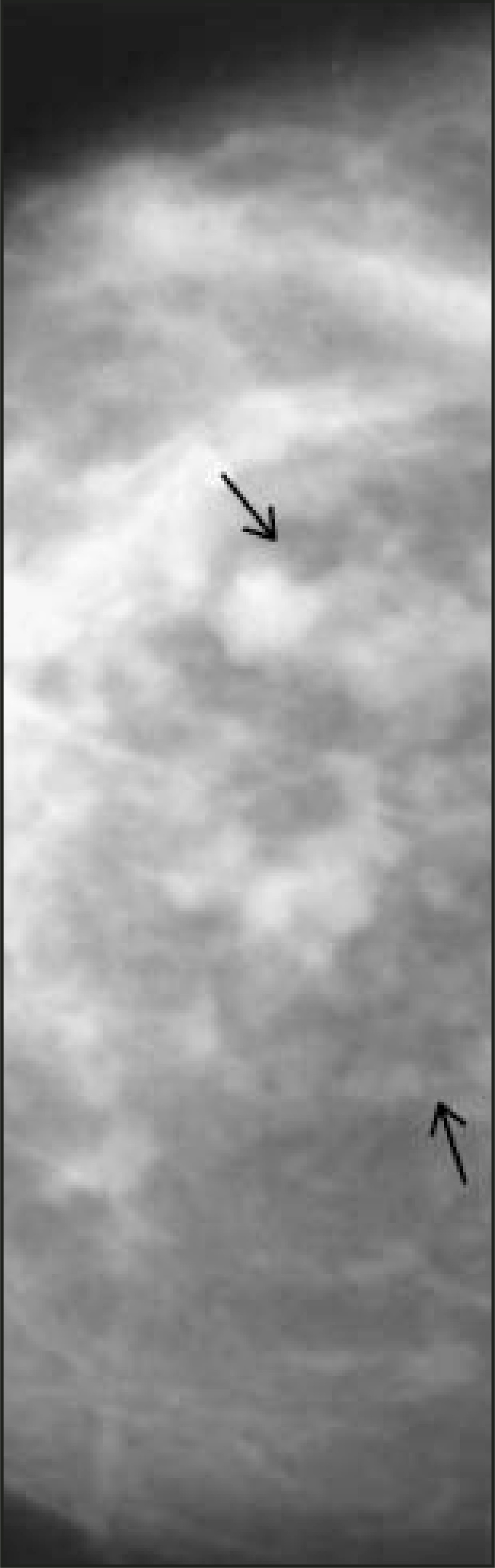 FIGURE 14.