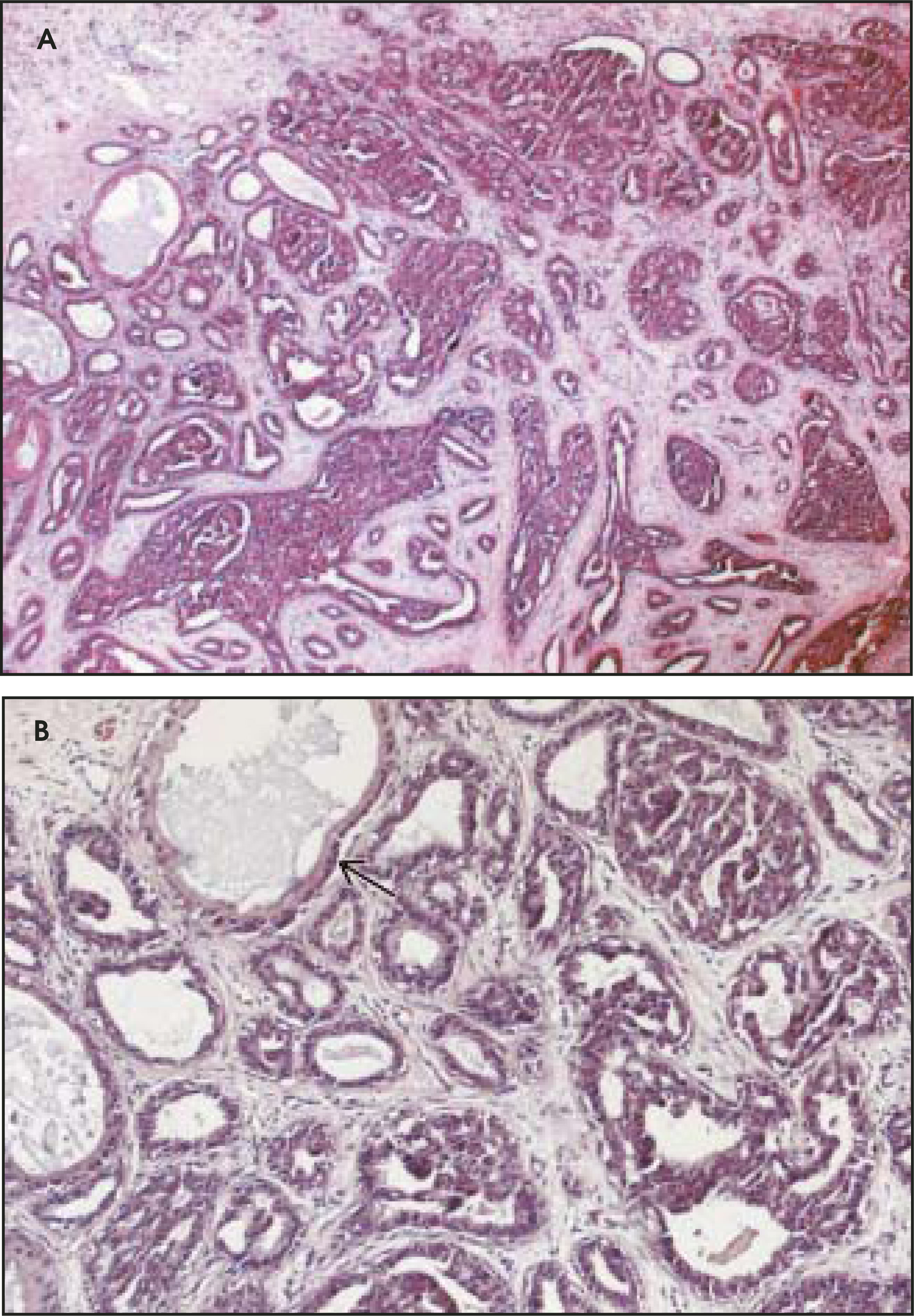 FIGURE 15.