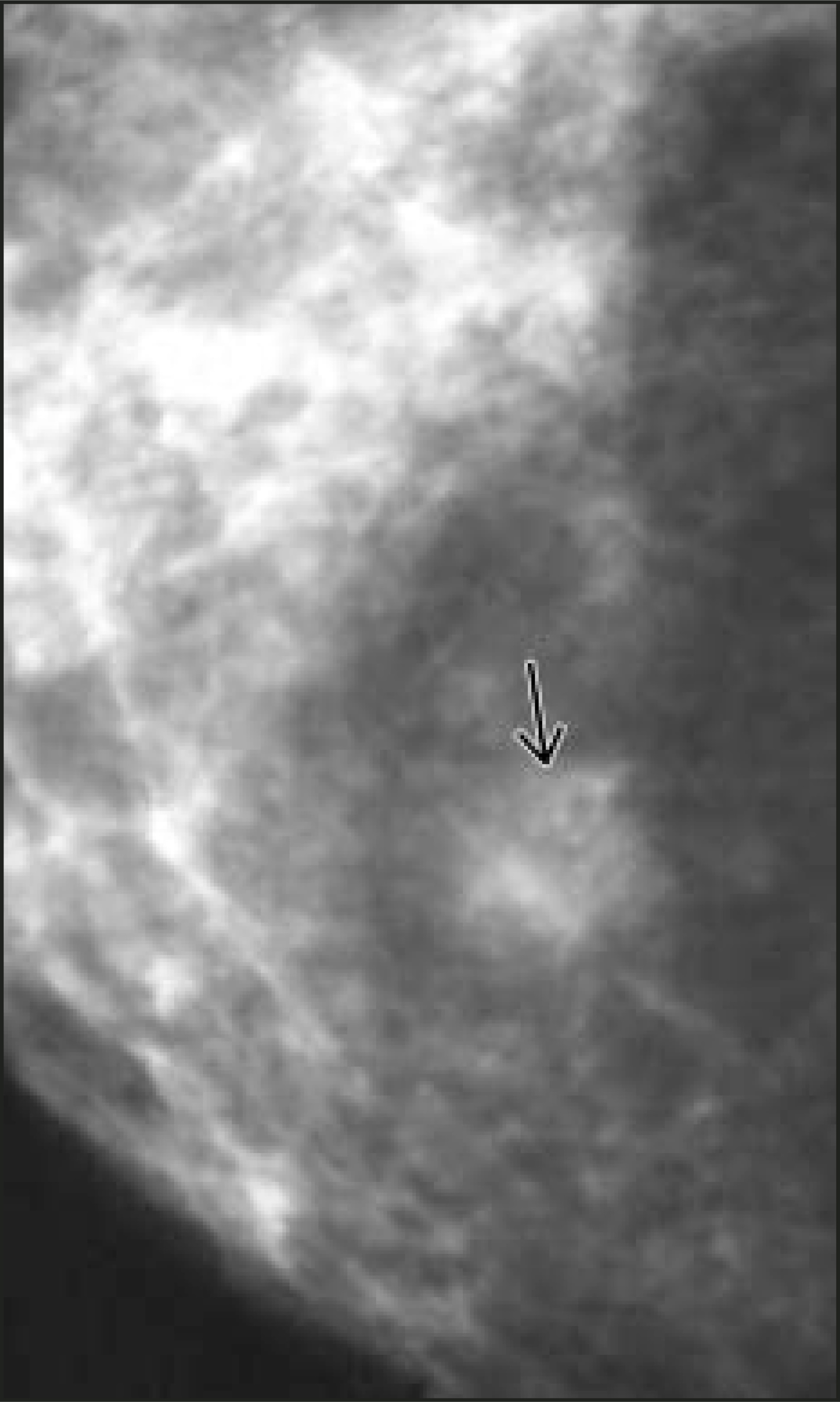 FIGURE 16.