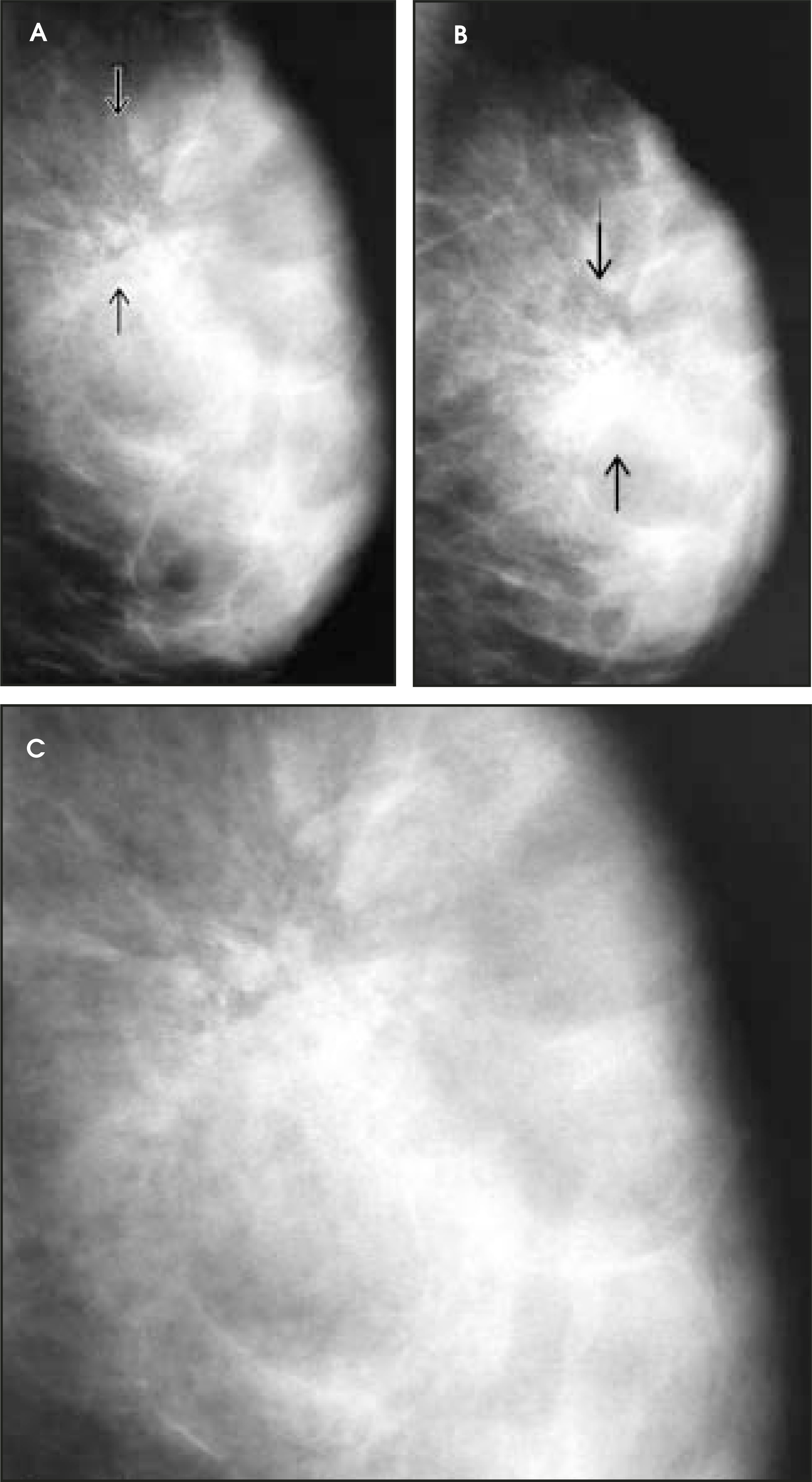 FIGURE 19.