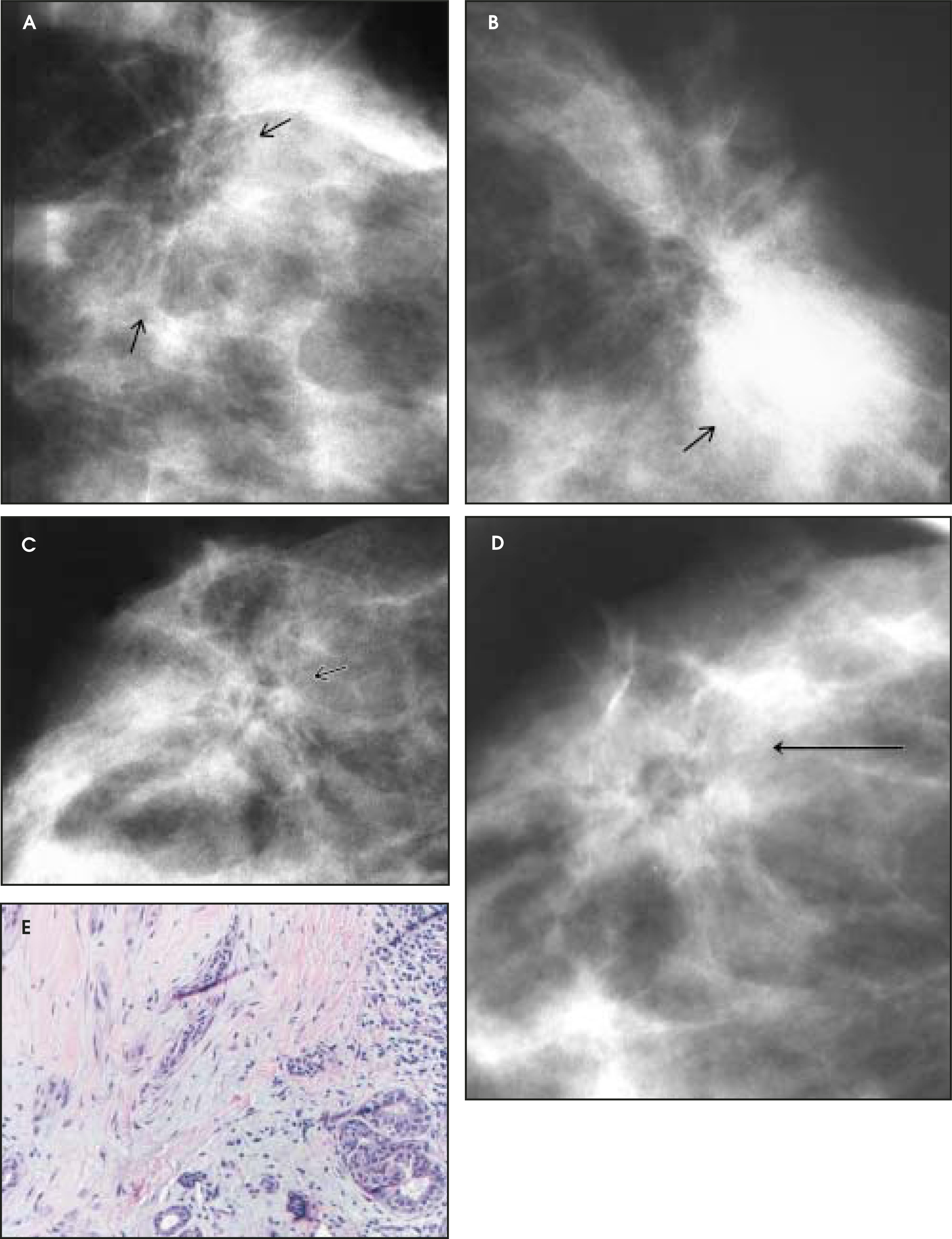 FIGURE 20.