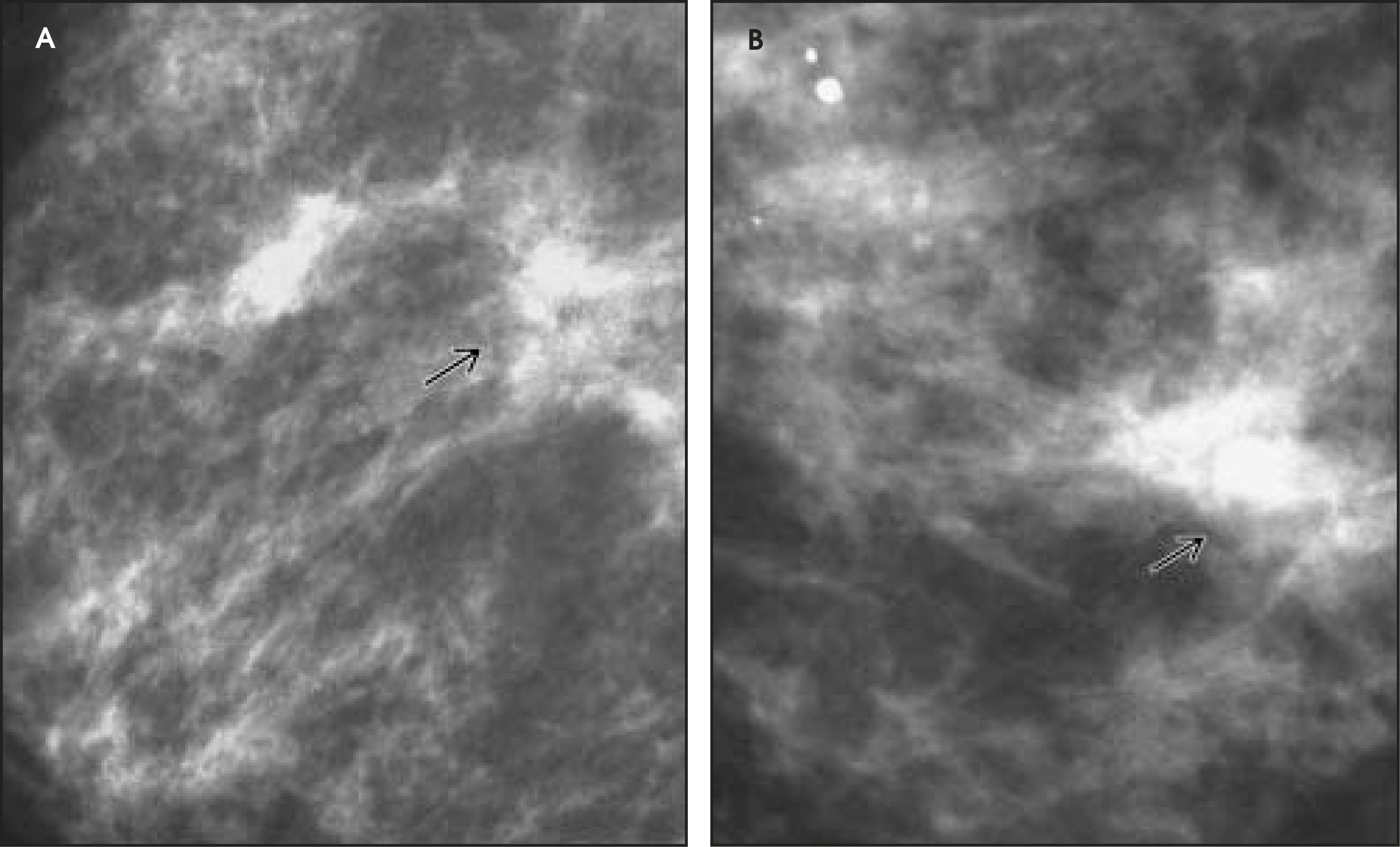FIGURE 21.