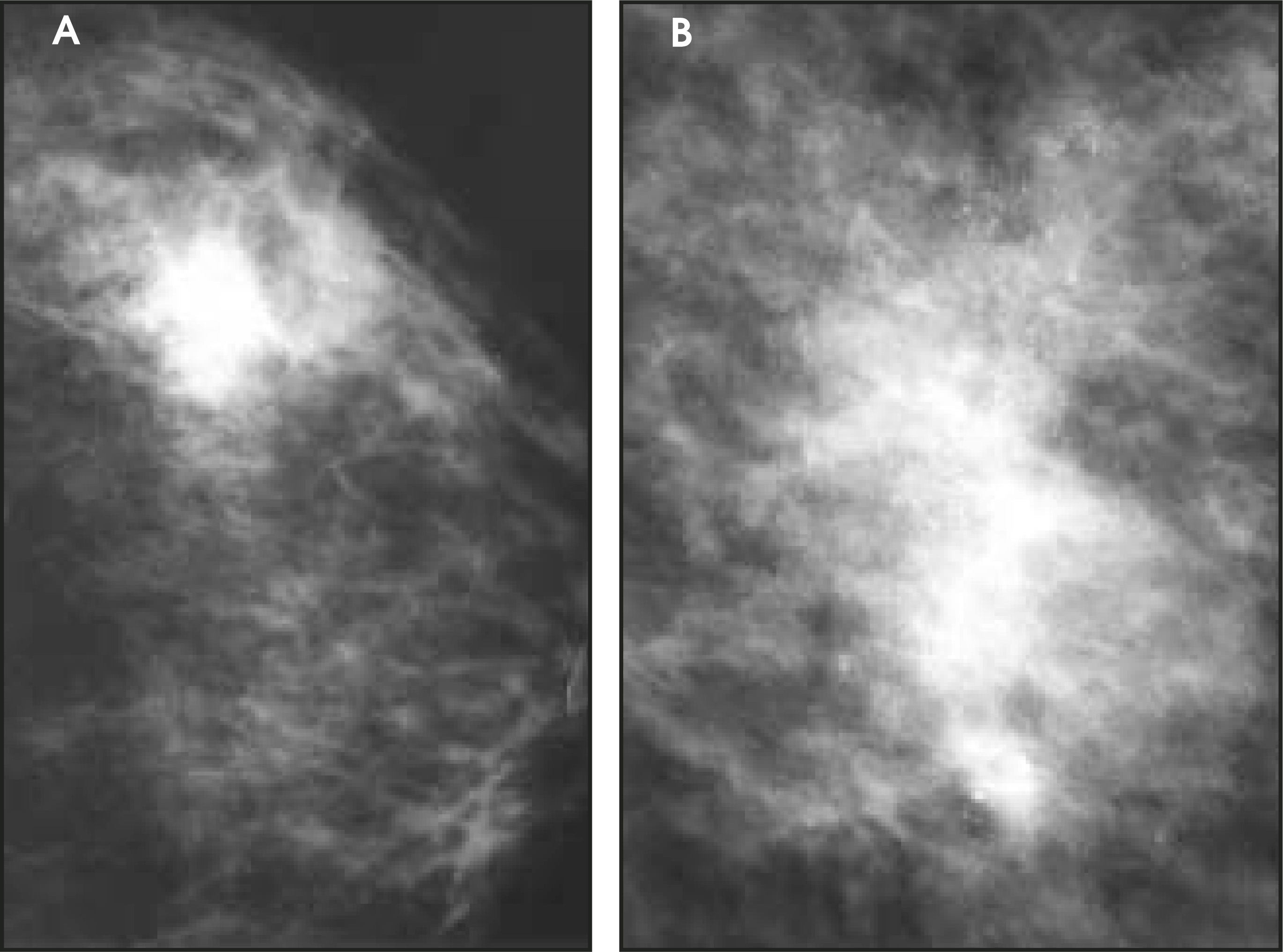 FIGURE 22.
