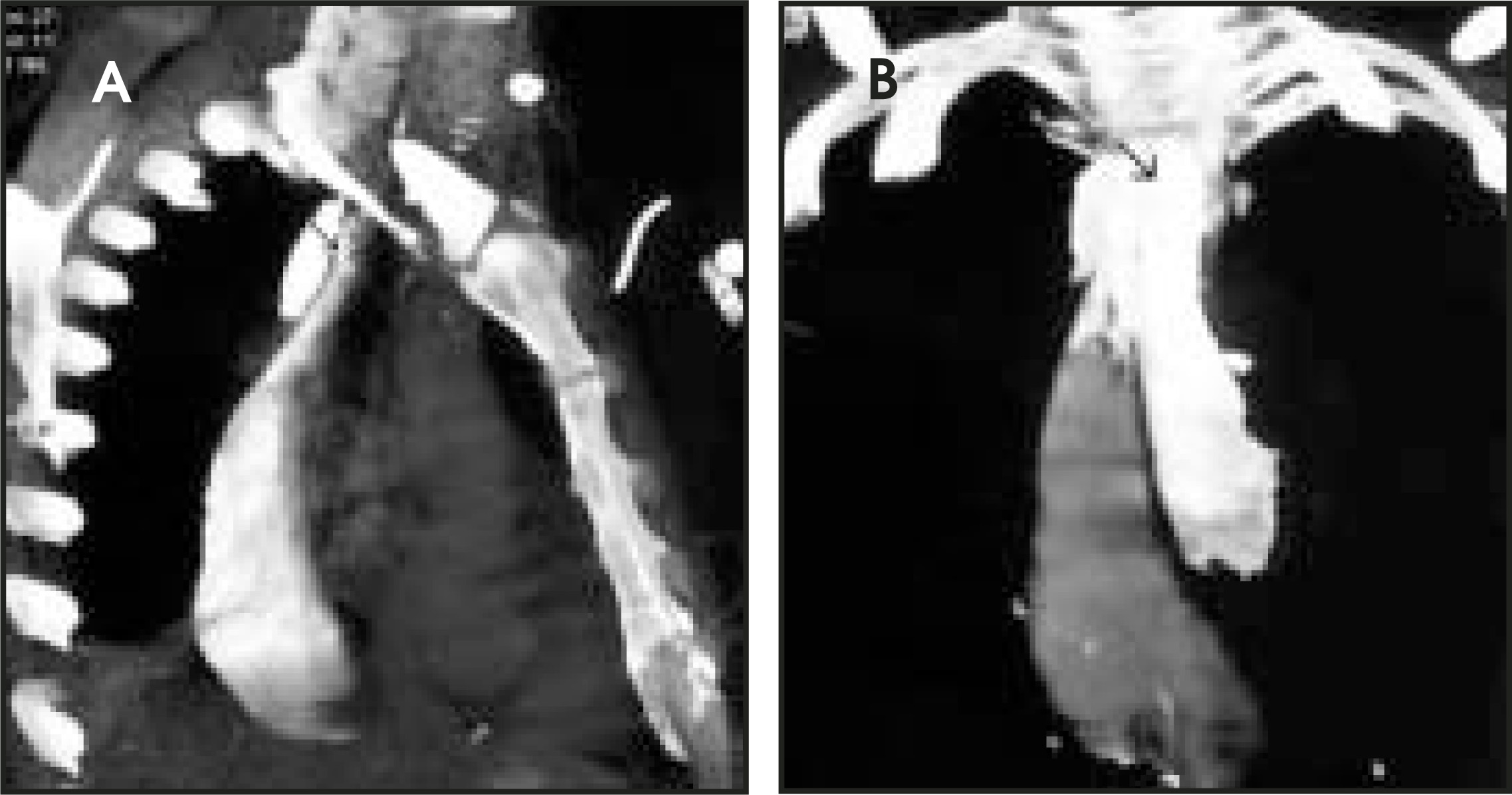 FIGURE 2.