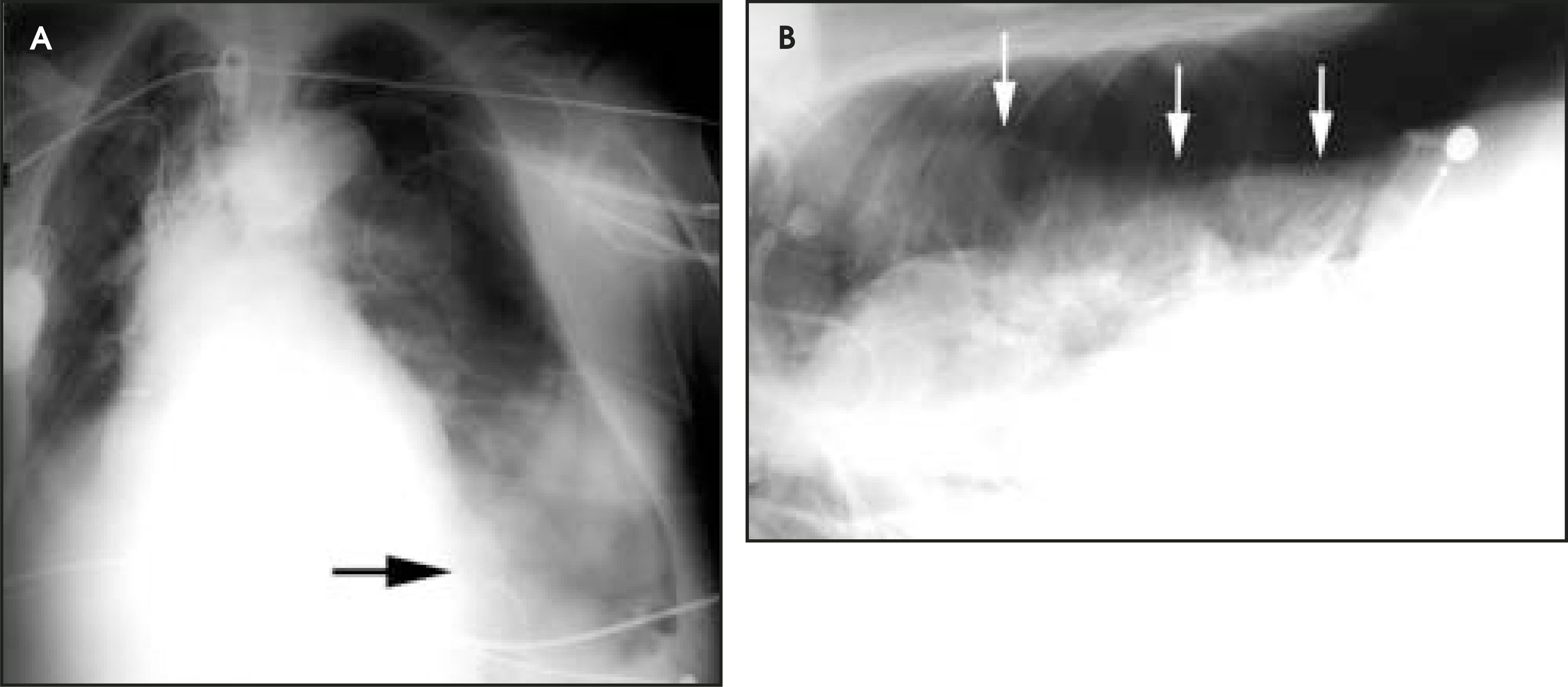 FIGURE 7.