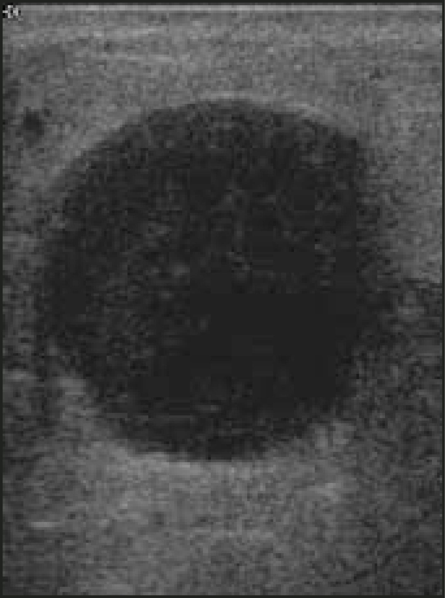 FIGURE 1.