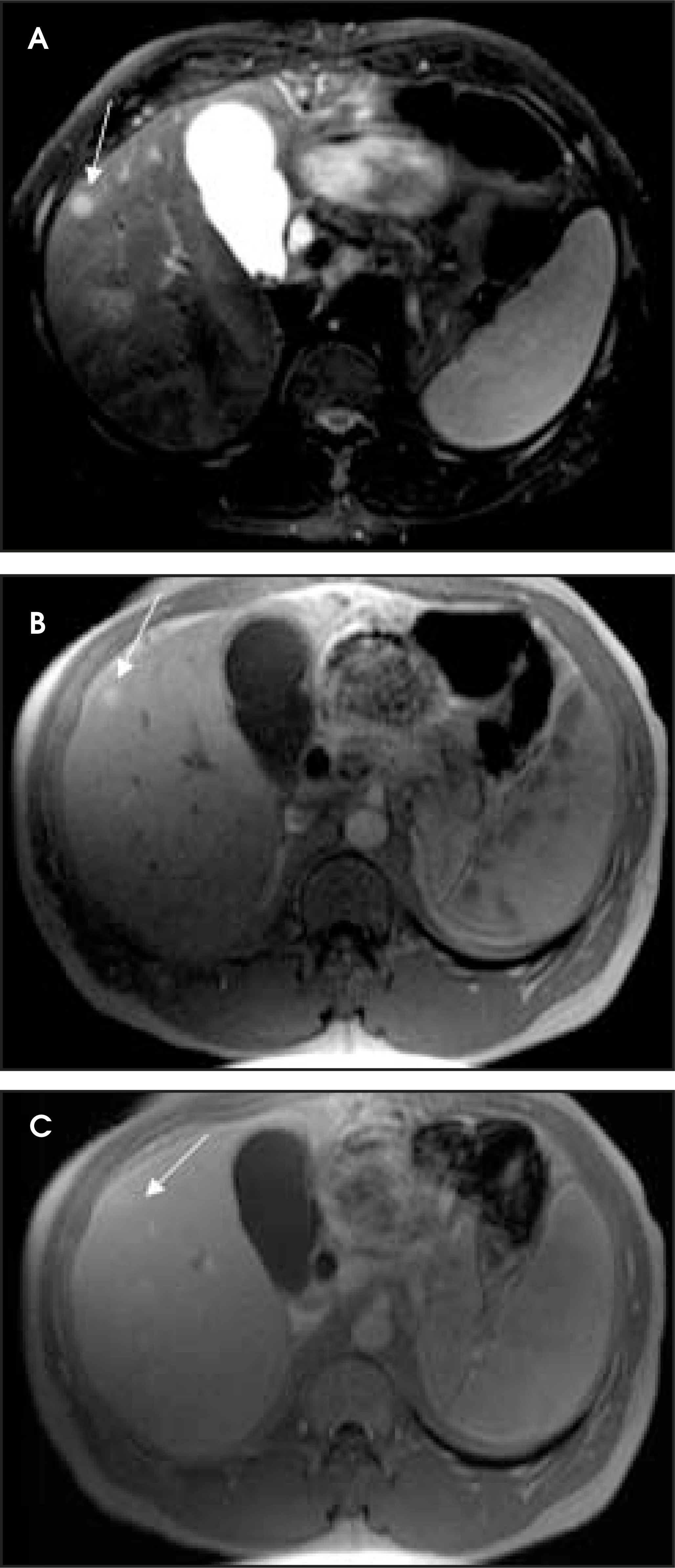 FIGURE 3.