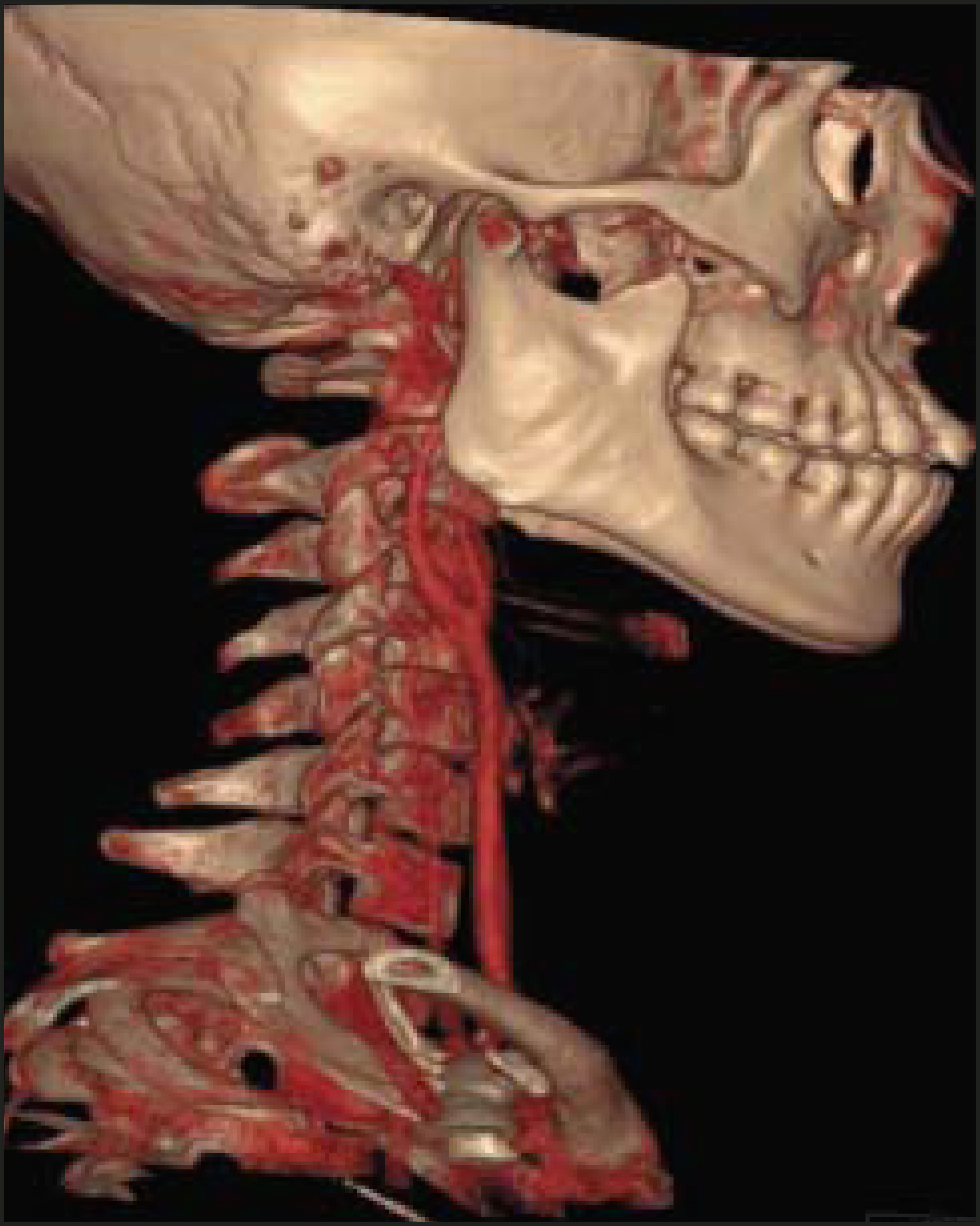 FIGURE 6.
