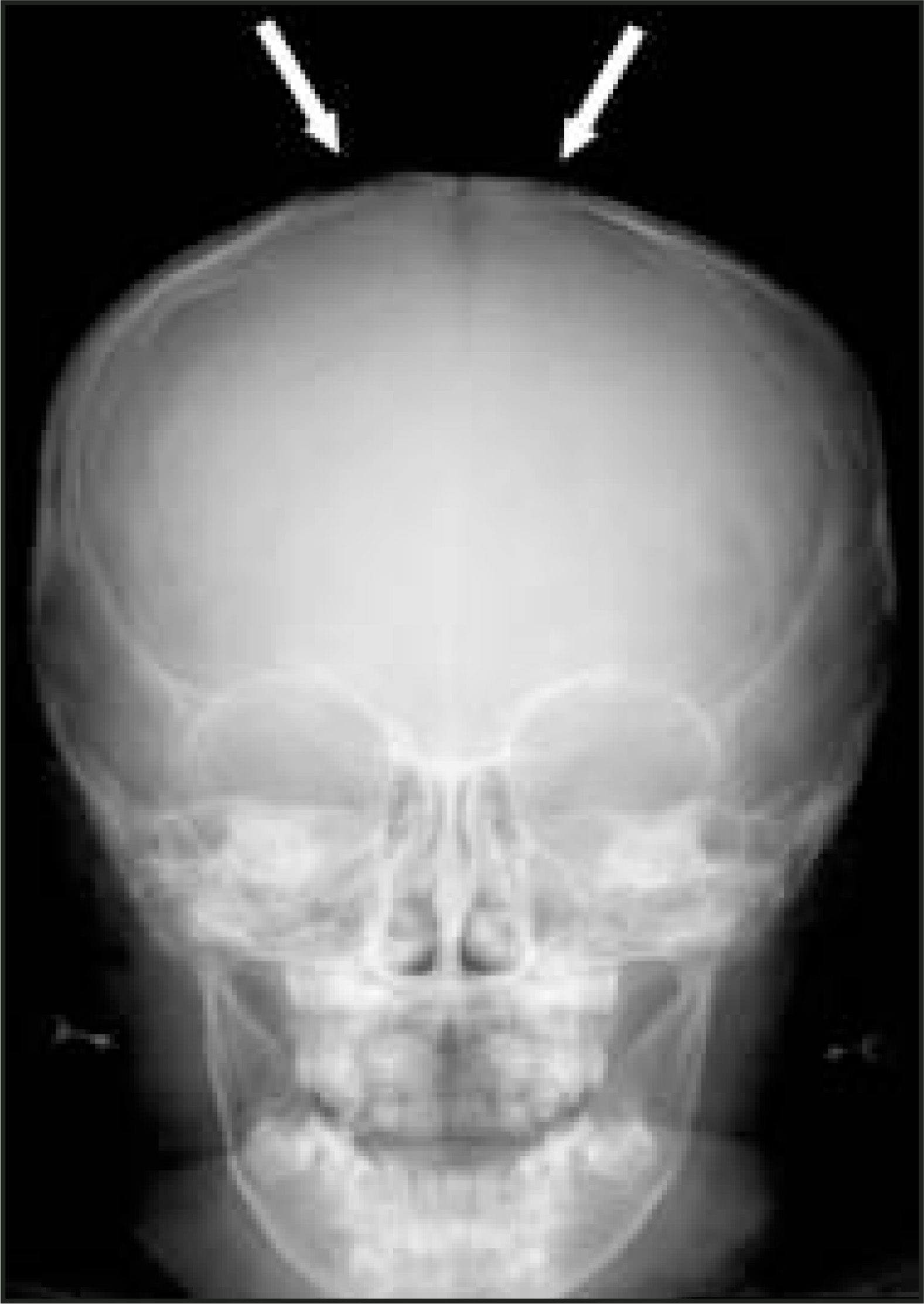 FIGURE 1.