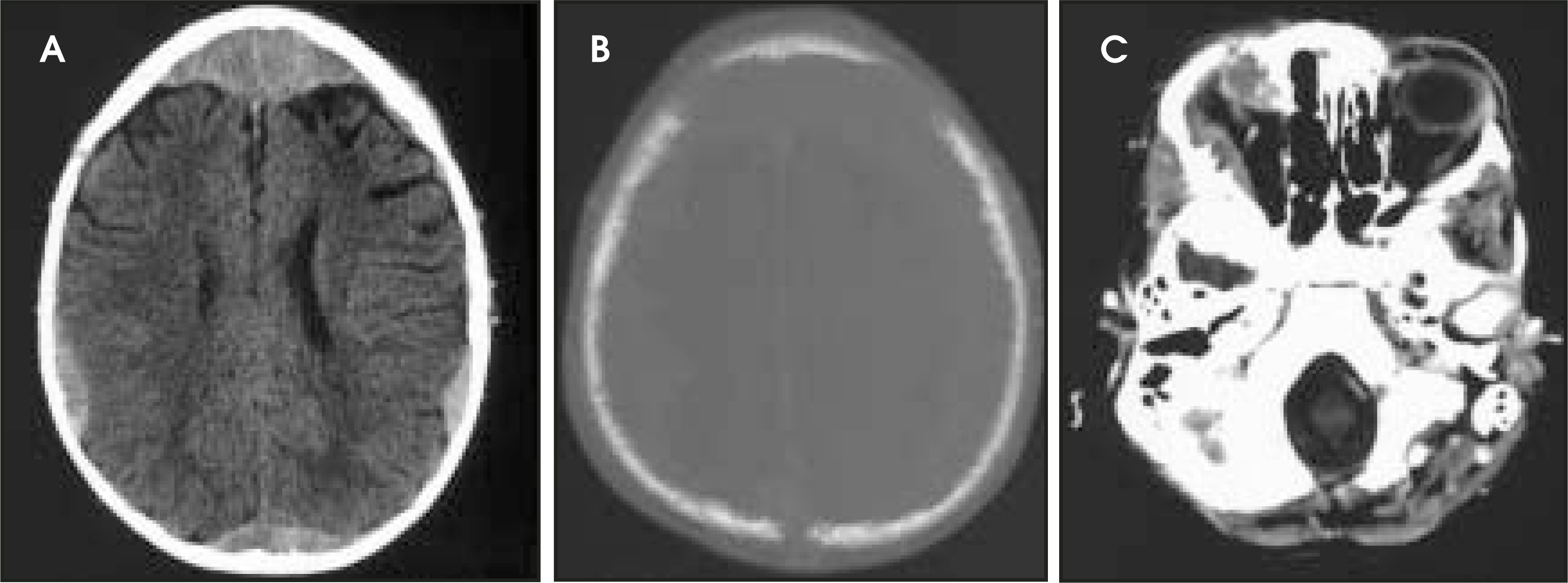 FIGURE 1.