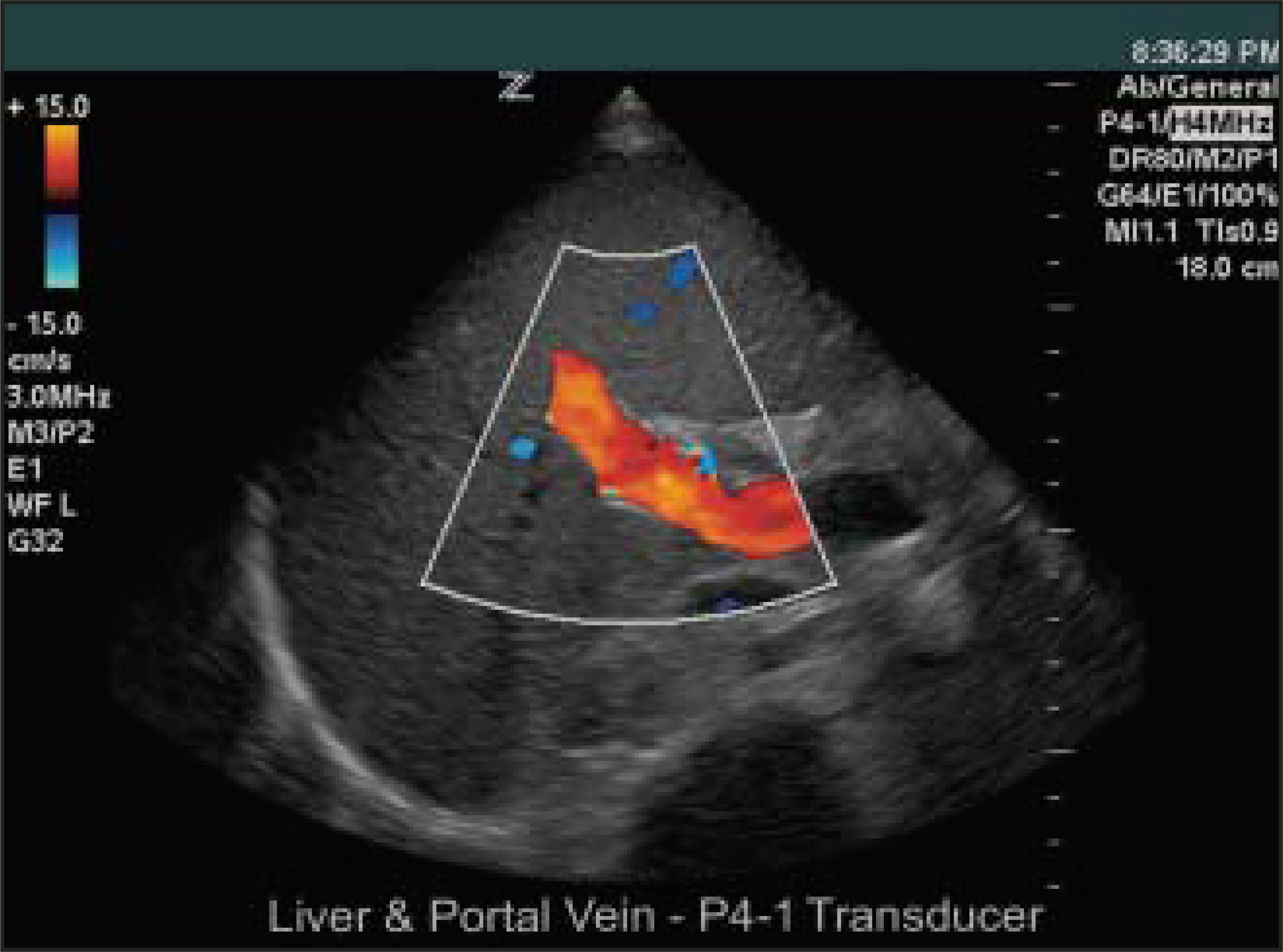 FIGURE 1.