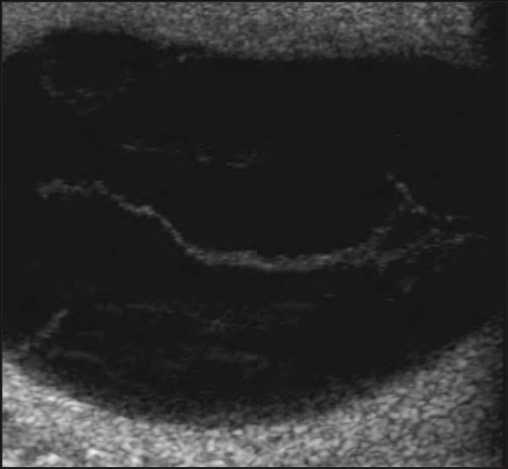 FIGURE 8.
