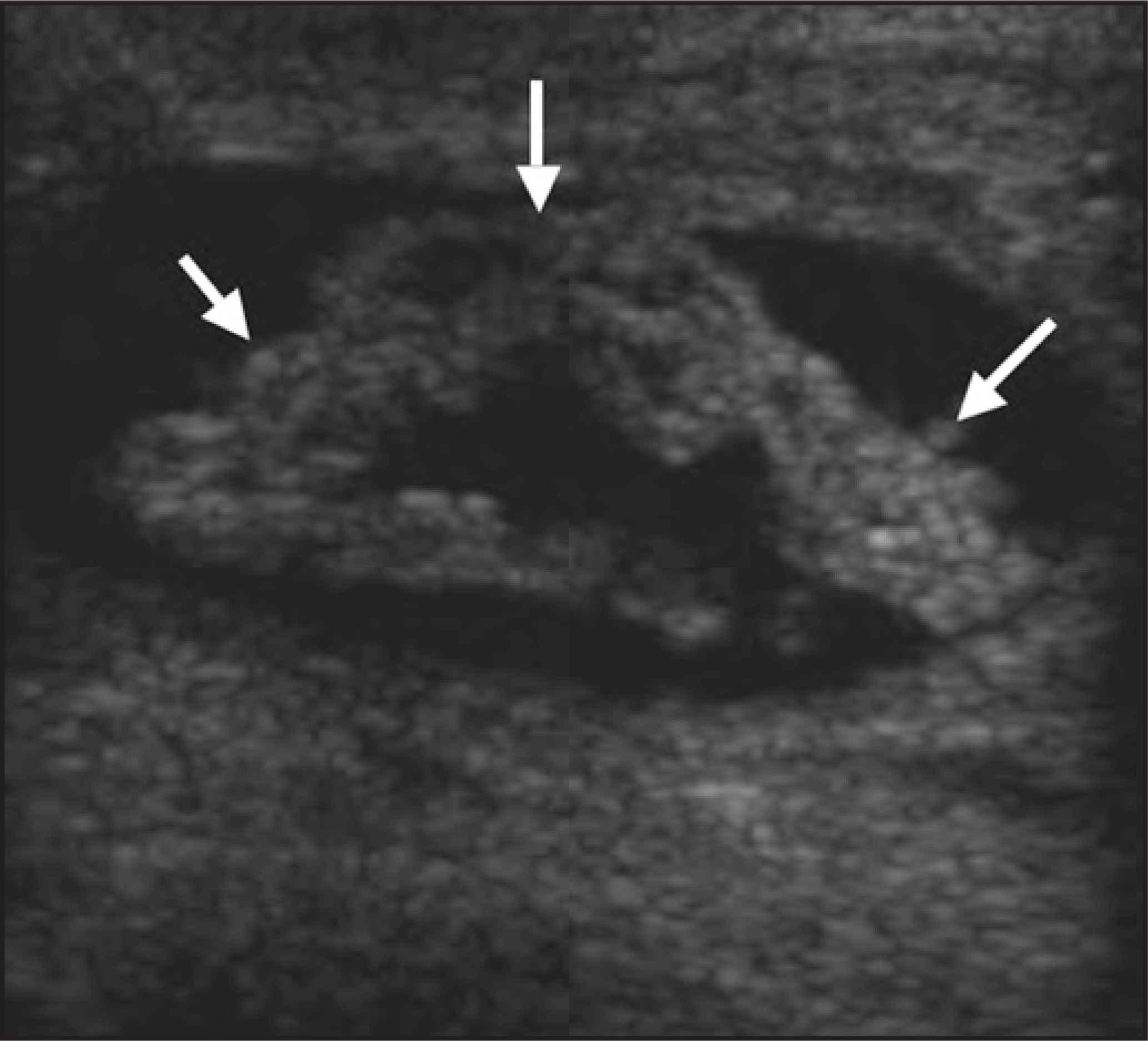 FIGURE 9.