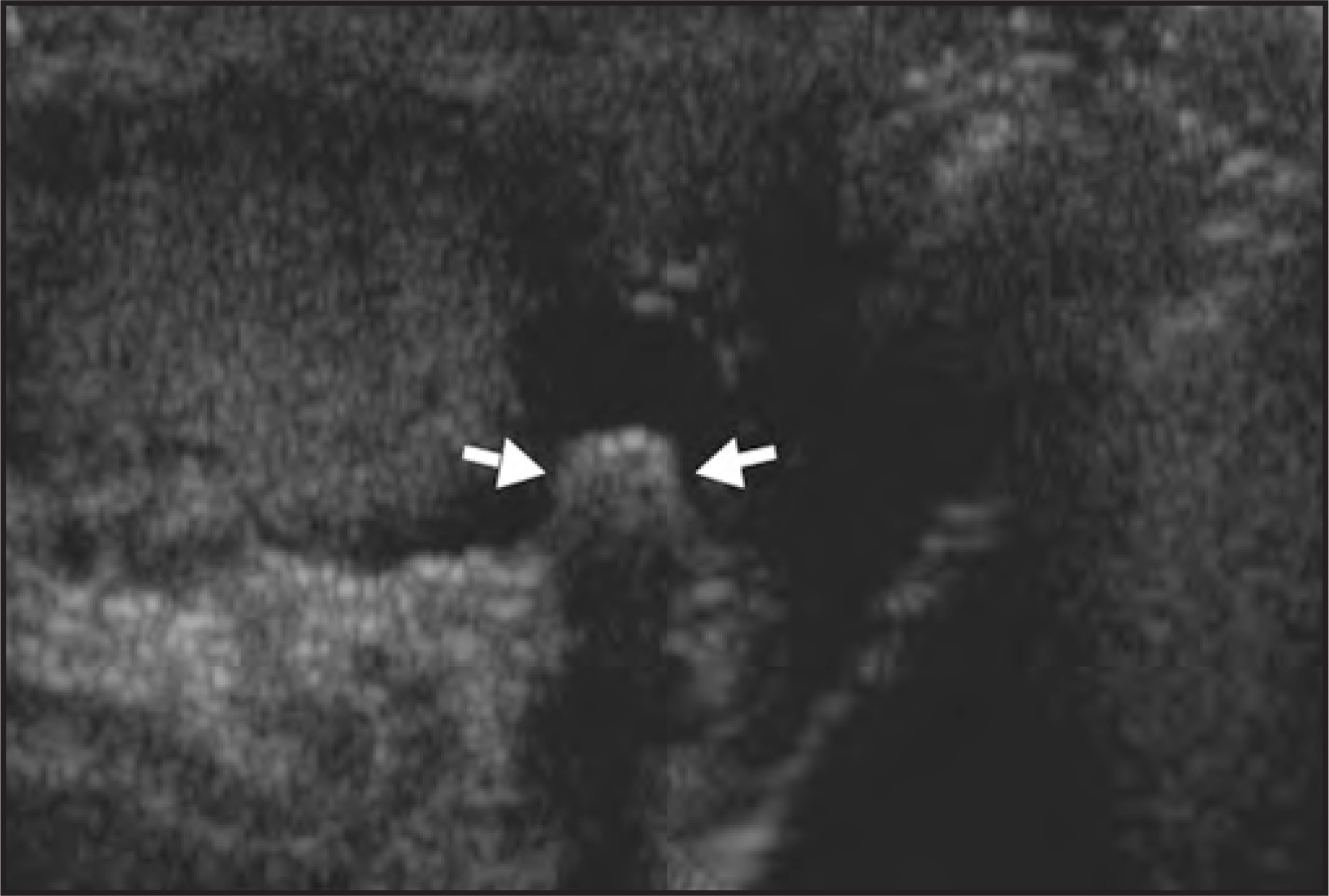 FIGURE 15.