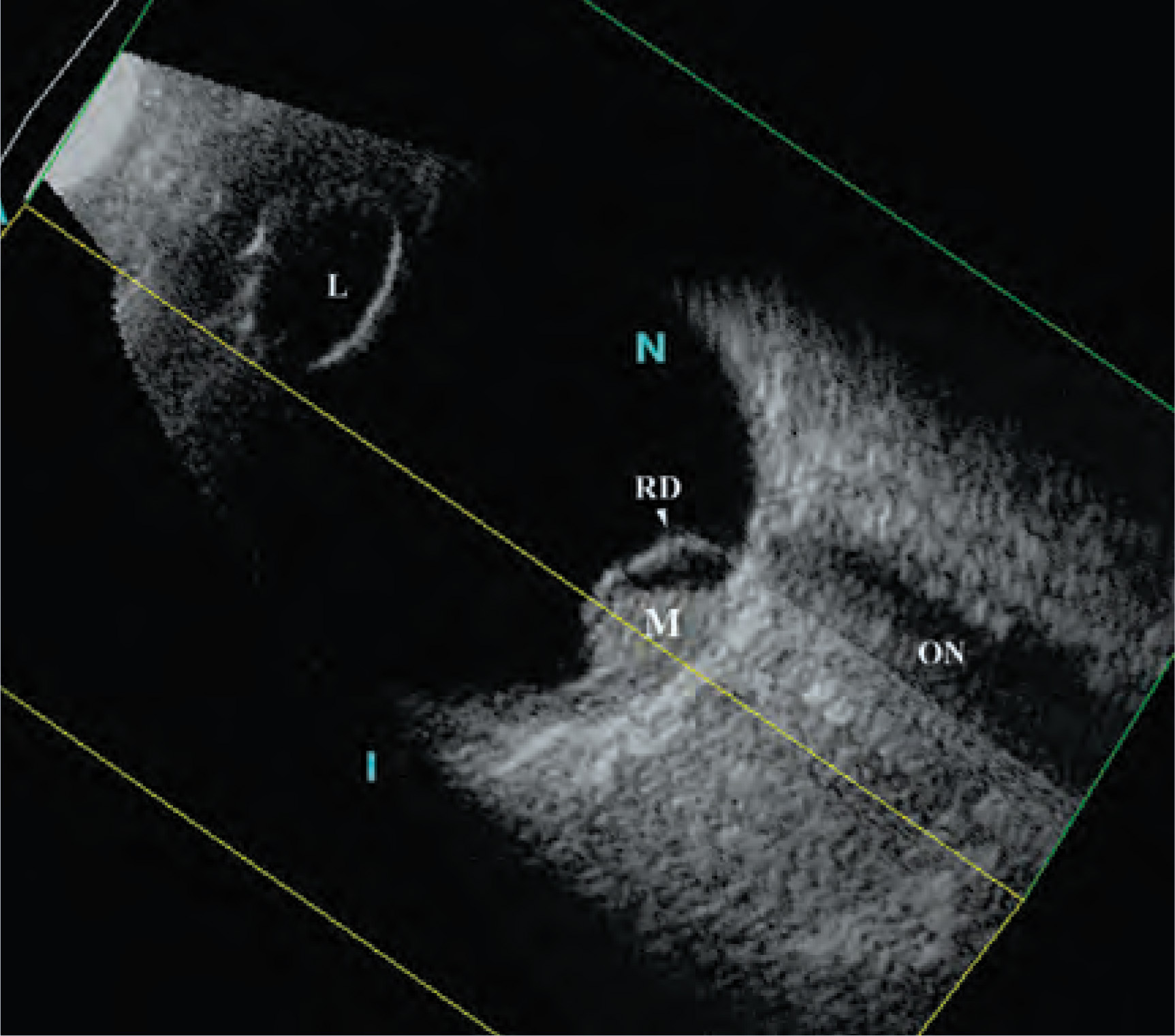 FIGURE 9.