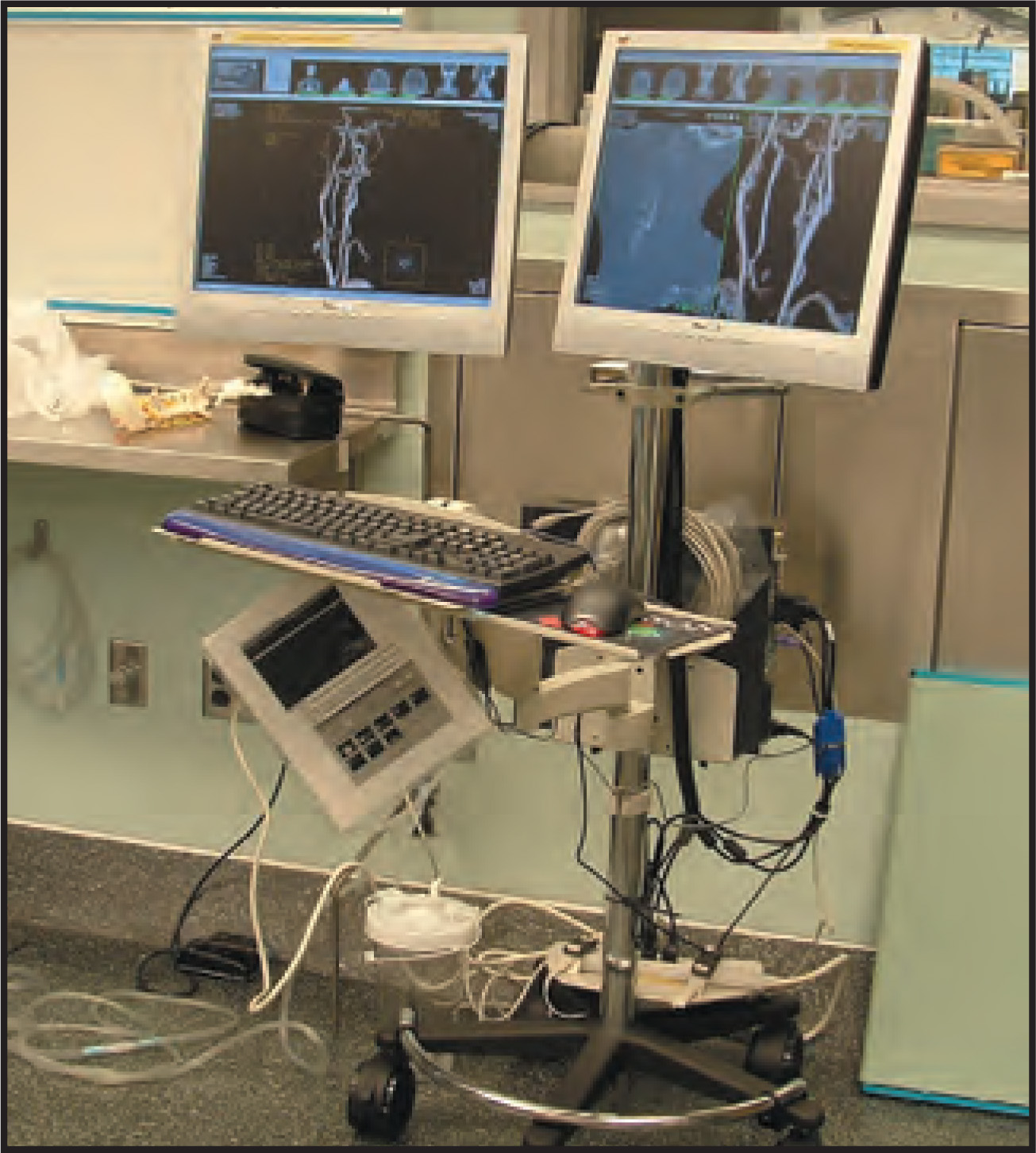 FIGURE 1.