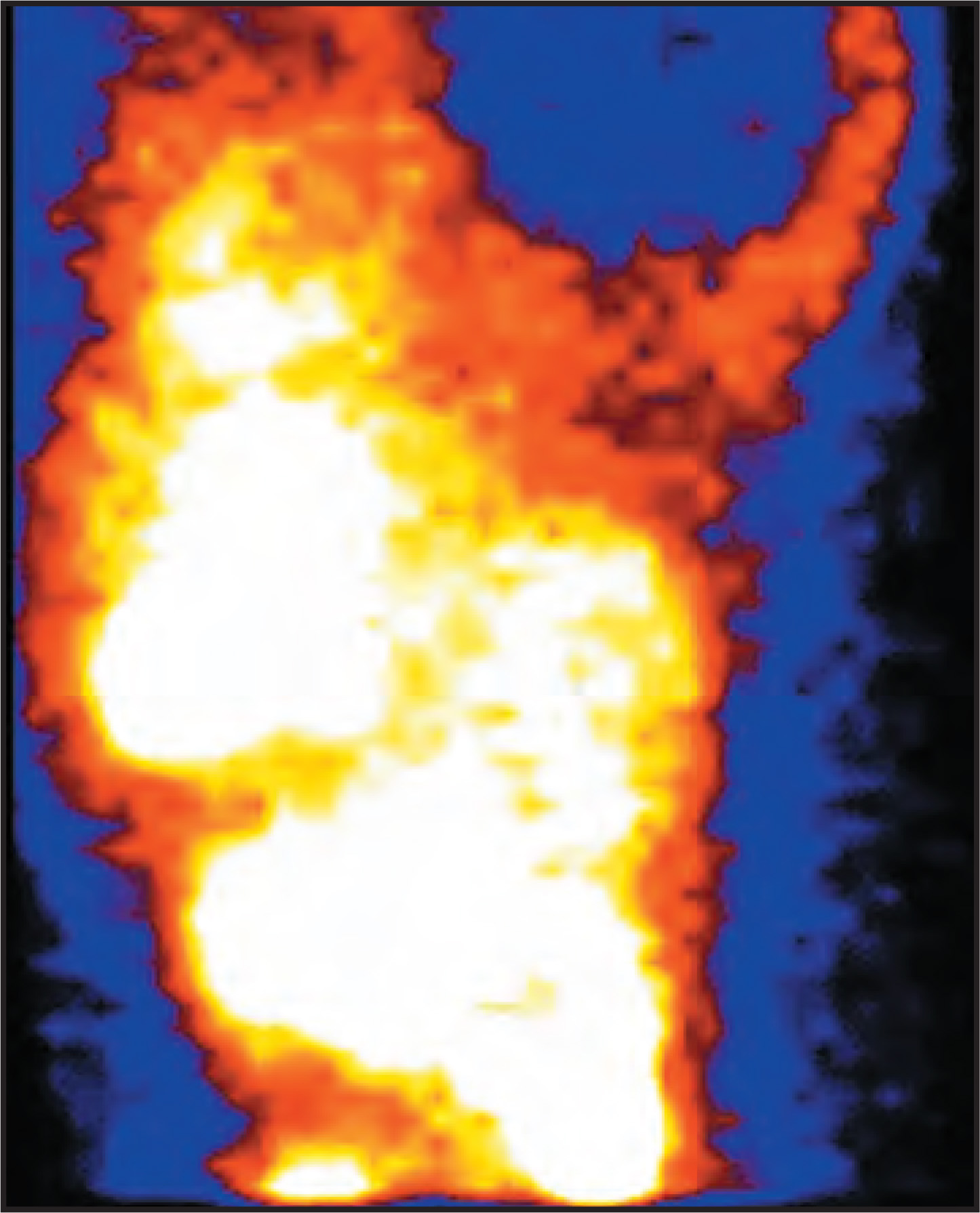 FIGURE 1.