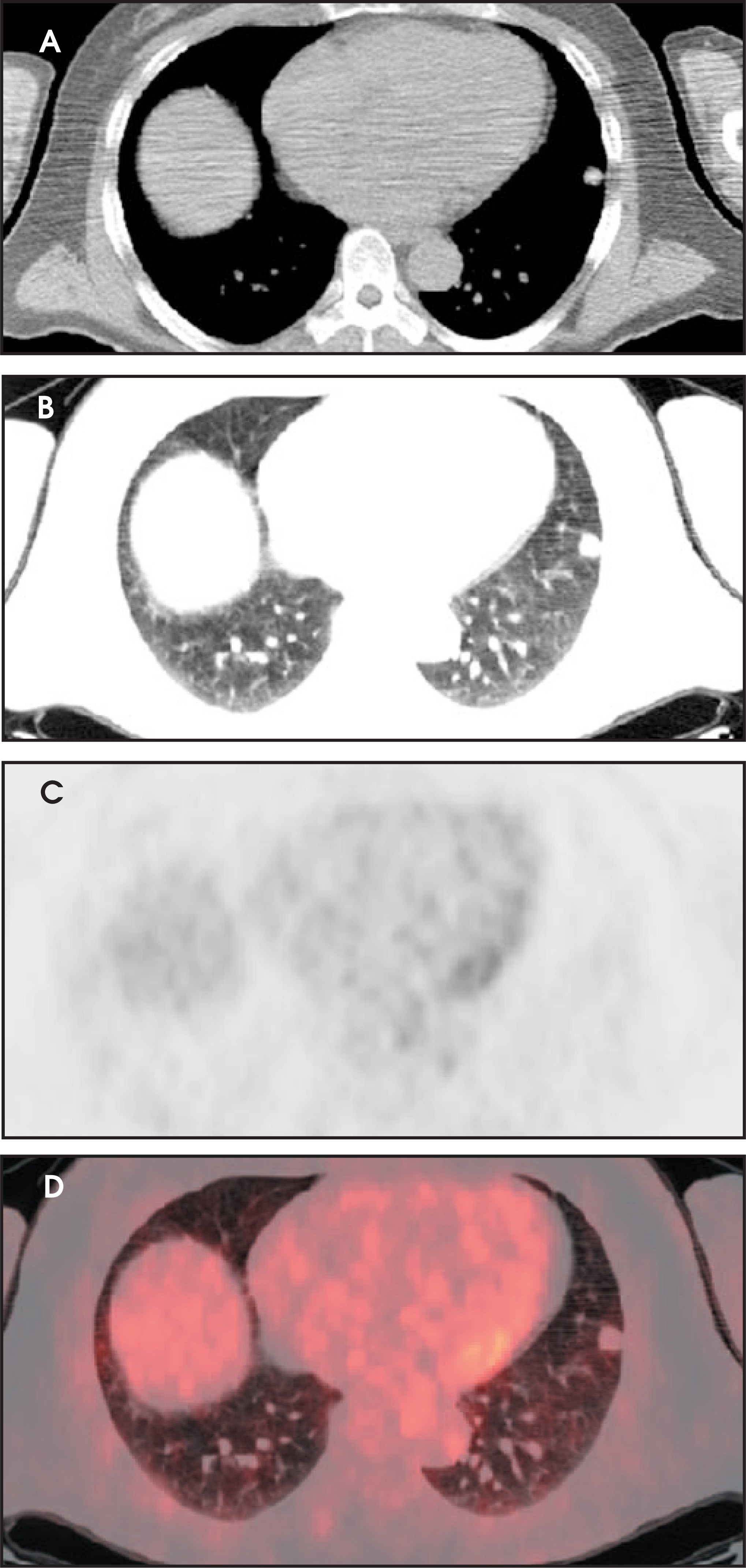 FIGURE 12.