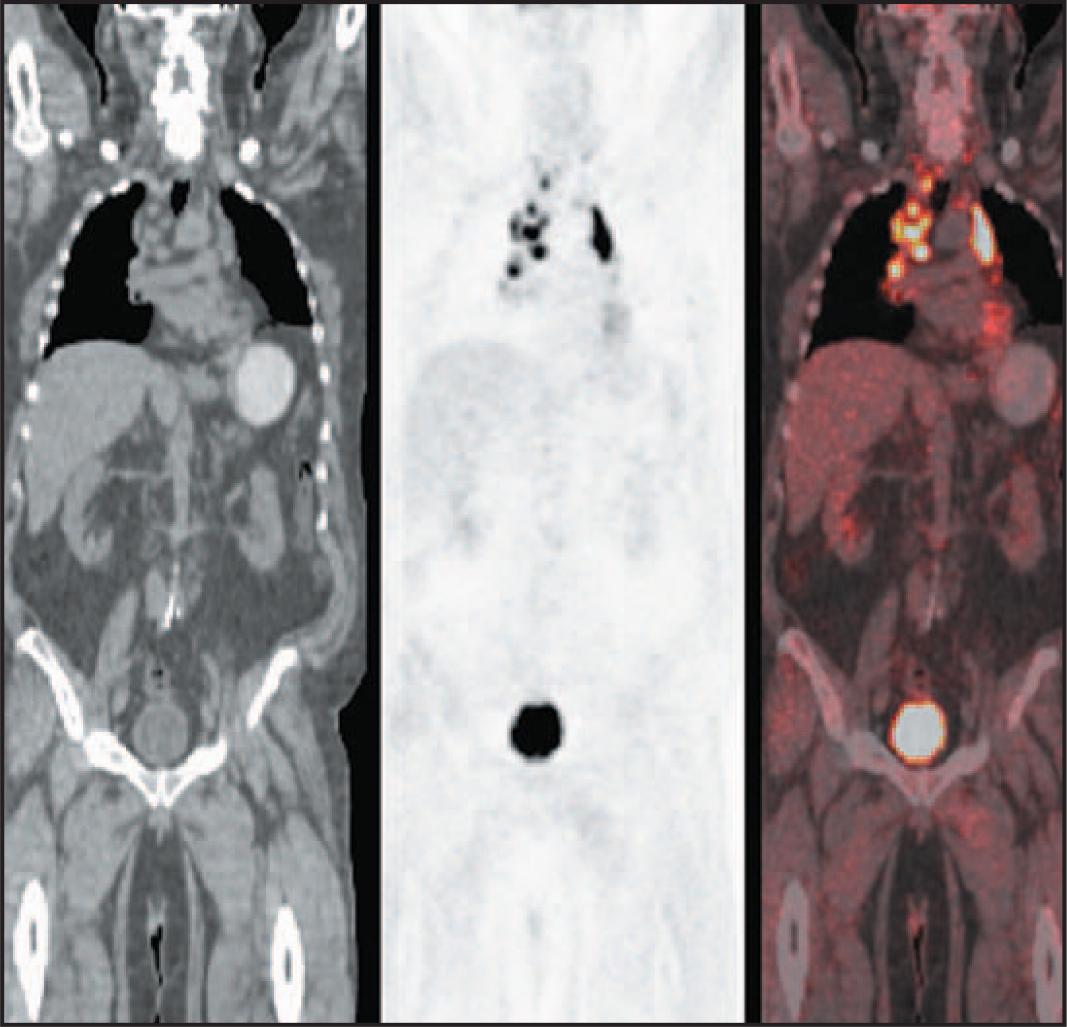 FIGURE 16.