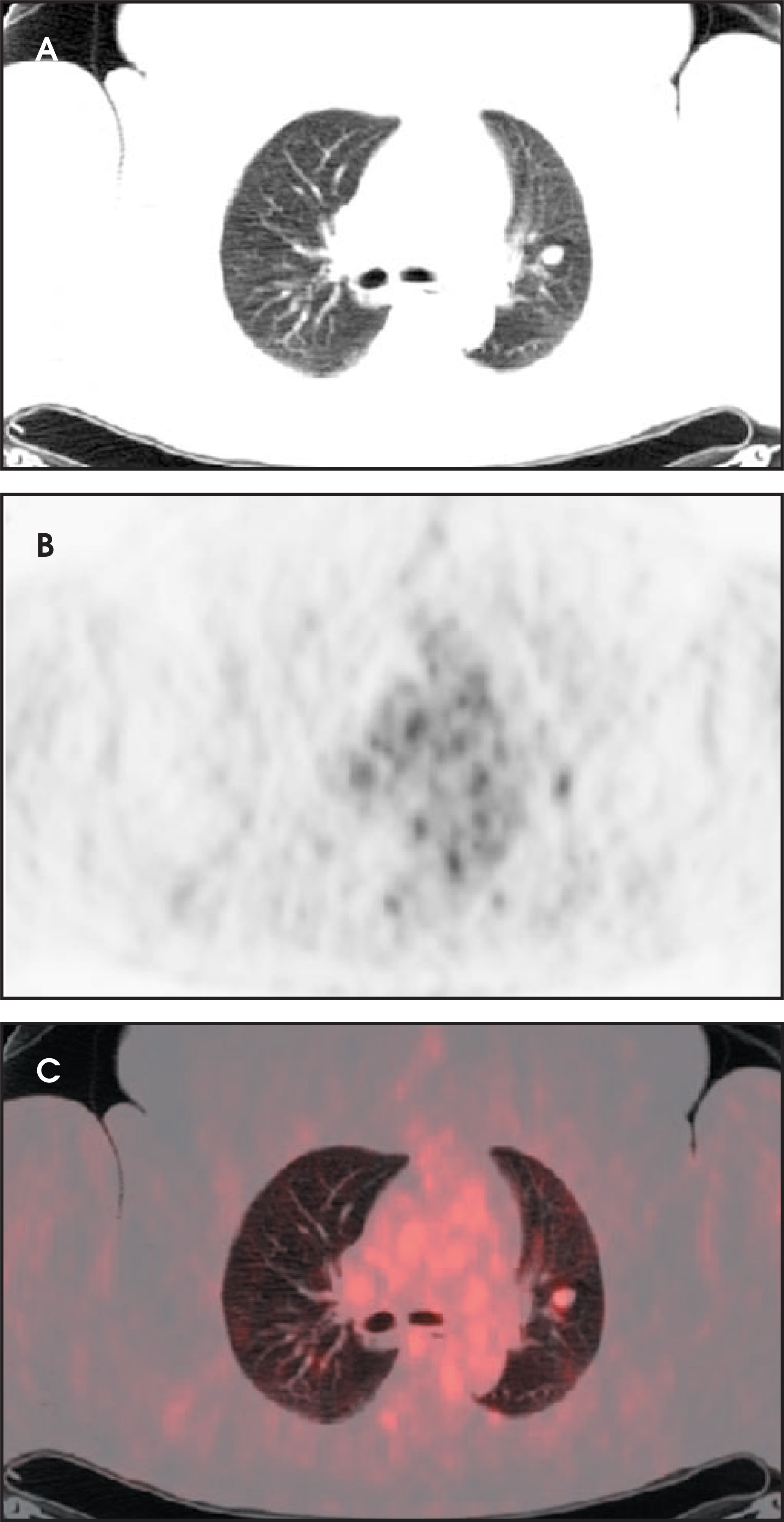 FIGURE 19.