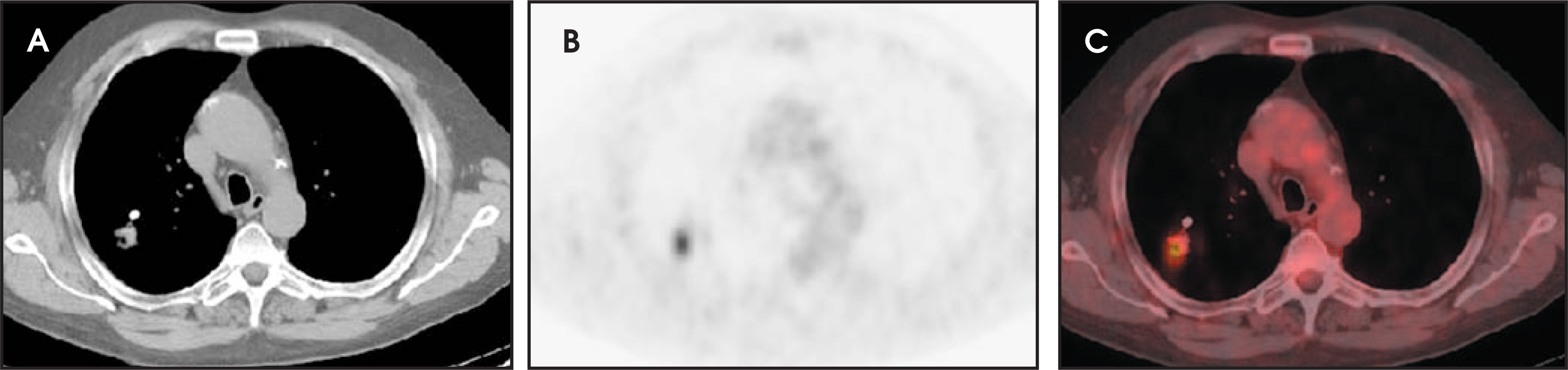 FIGURE 21.
