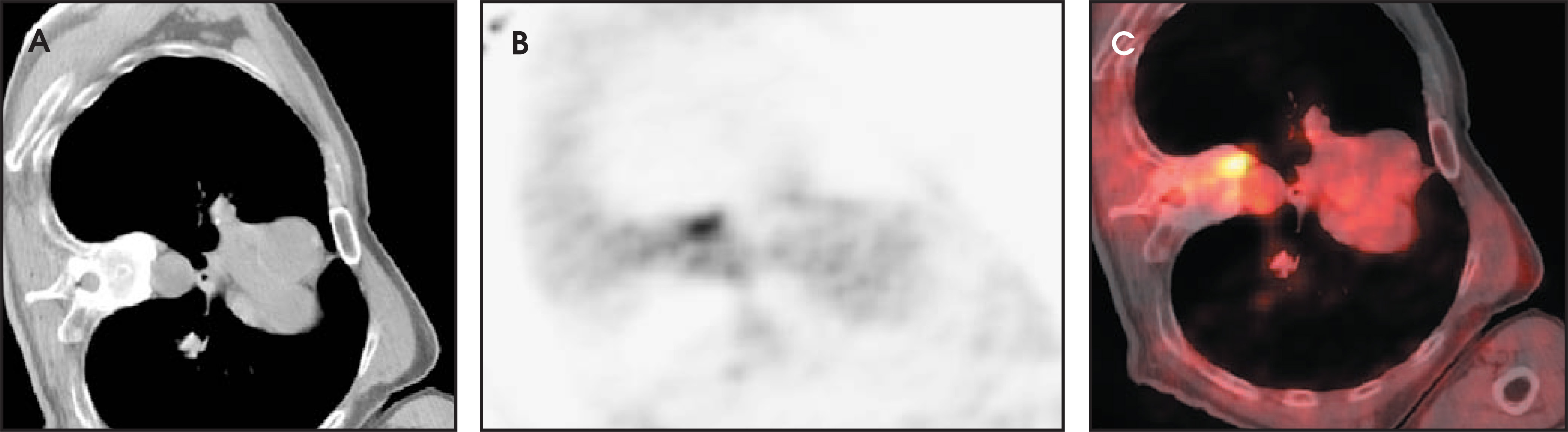 FIGURE 22.