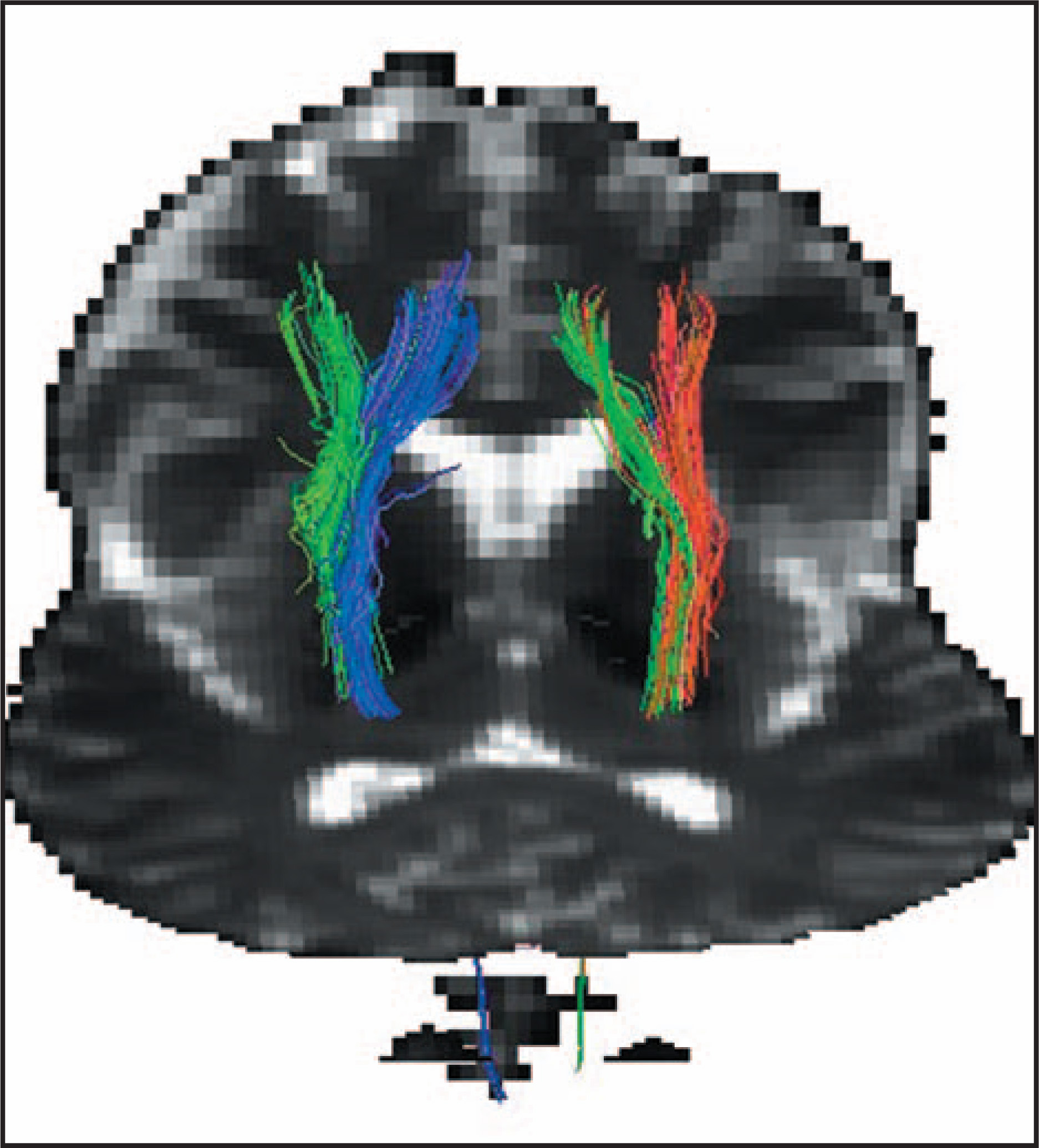 FIGURE 10.