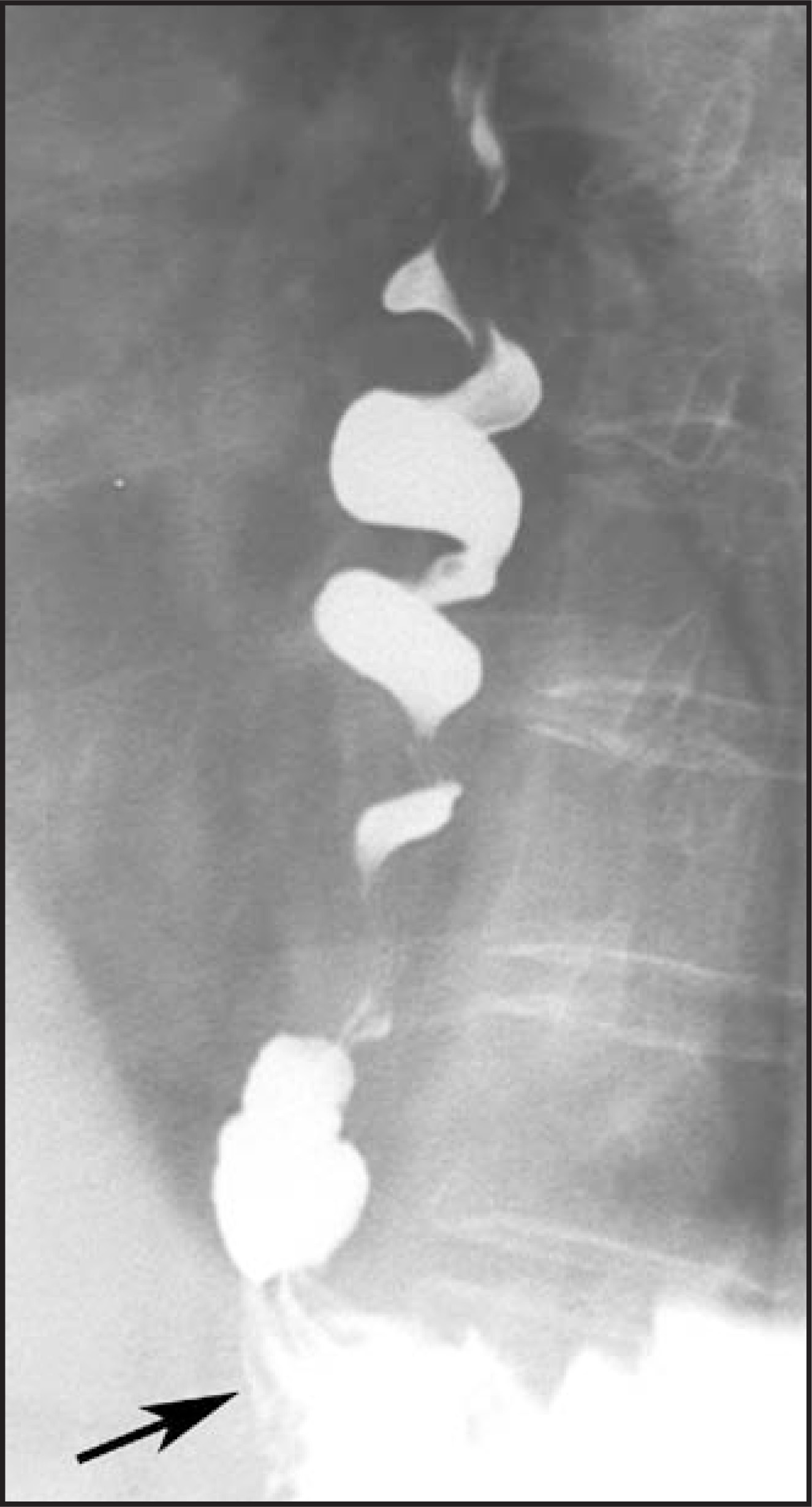 FIGURE 8.